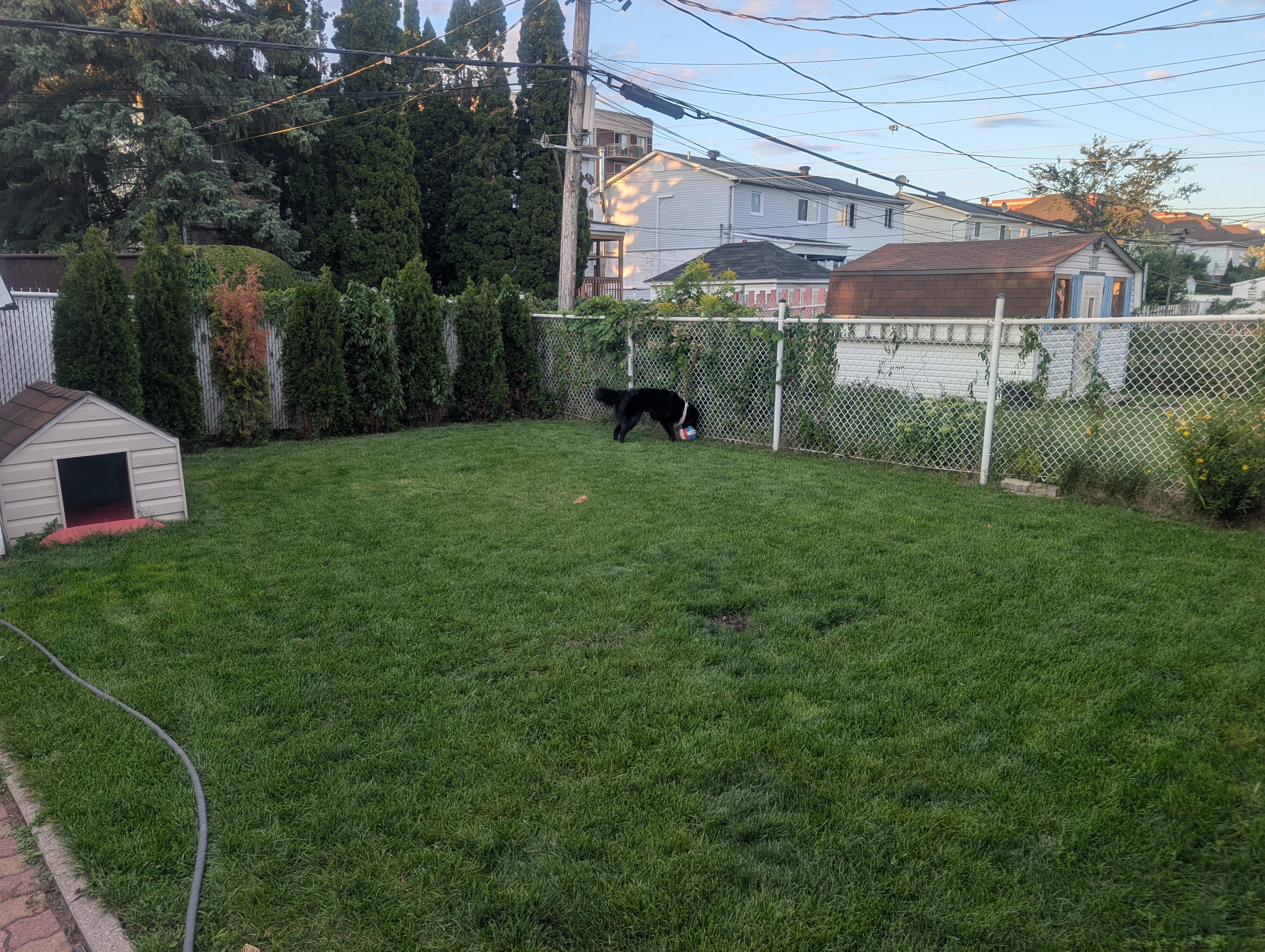 image-7