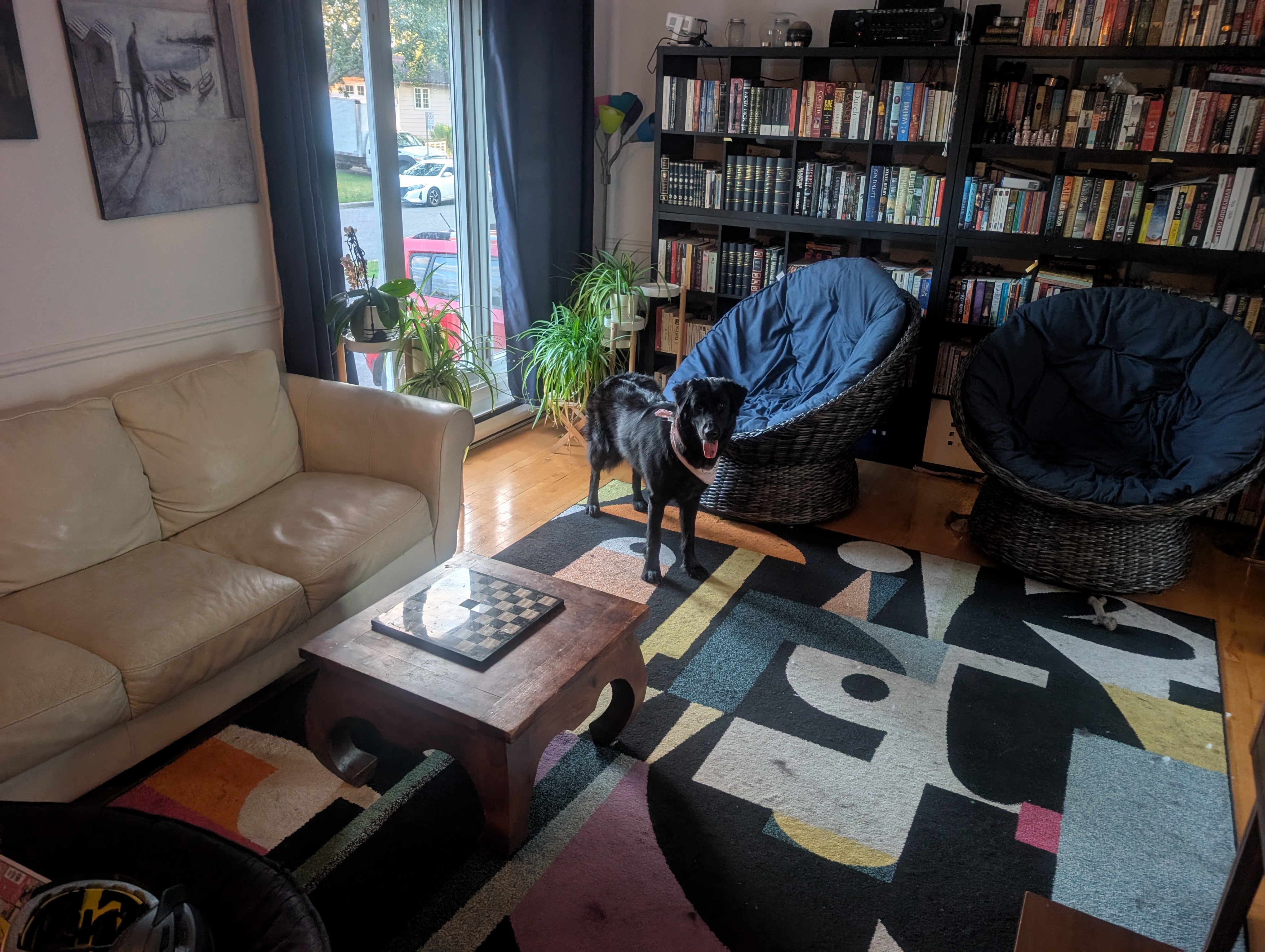 image-8