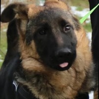 Sky von der Kaiserquelle