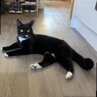 Benny