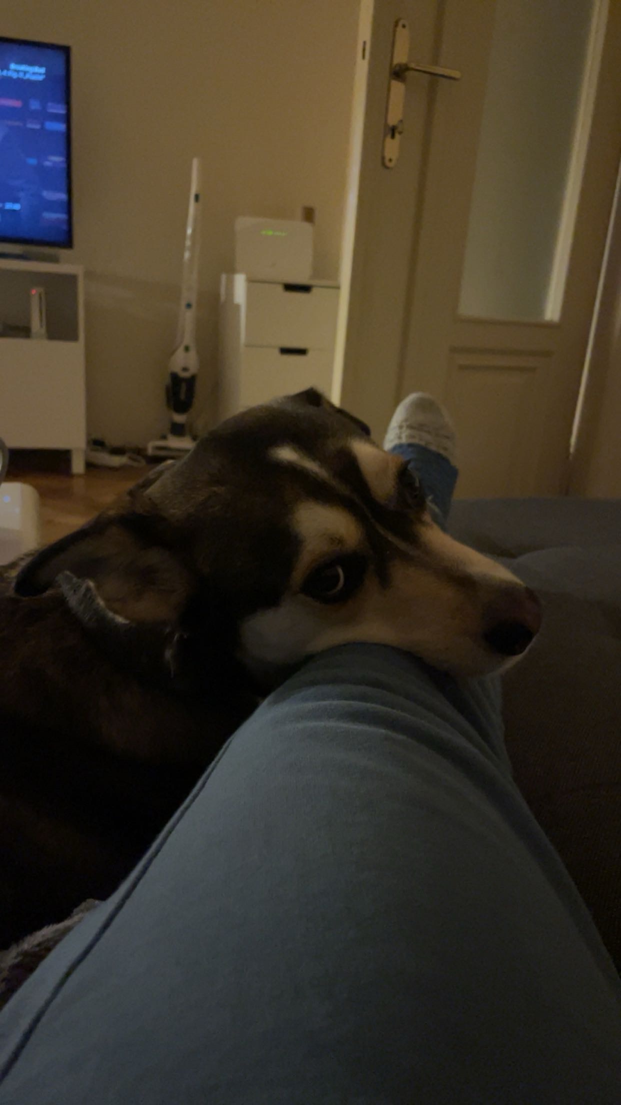image-5