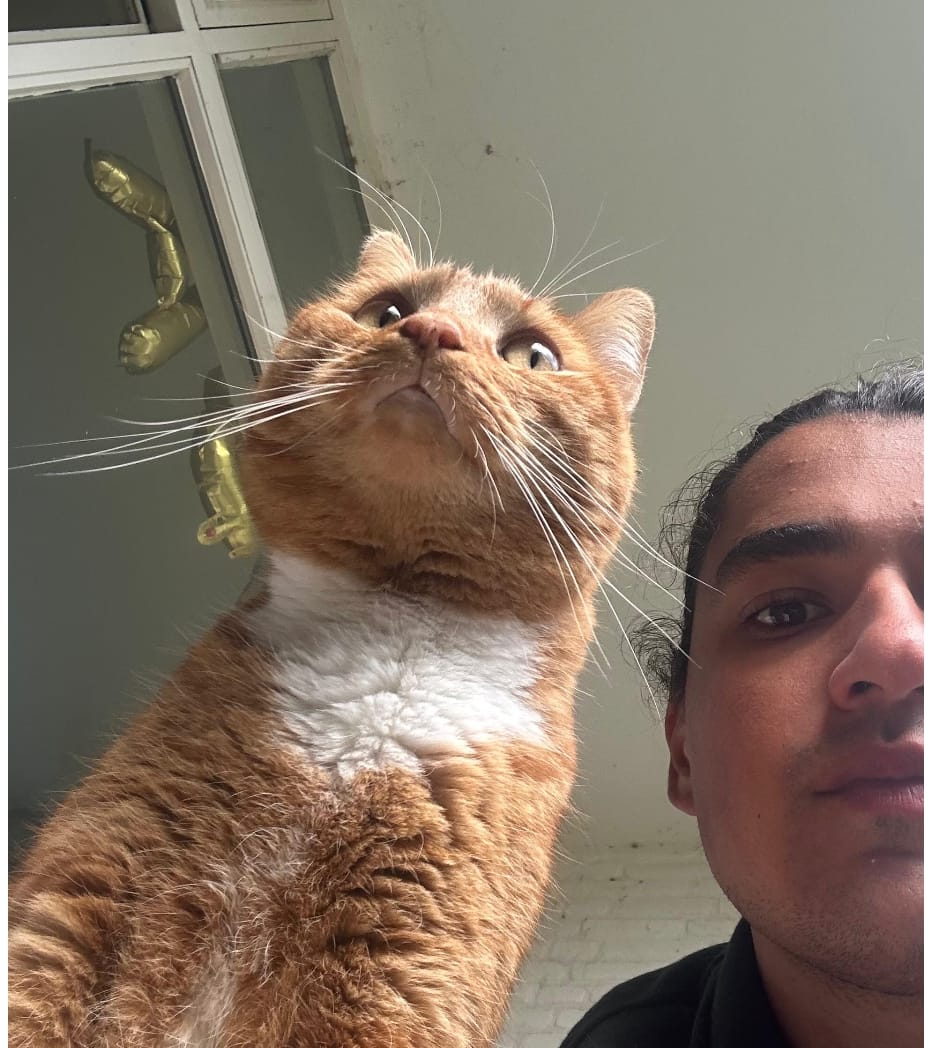 image-6