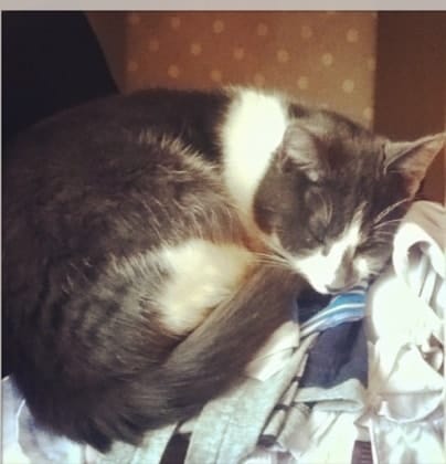 image-6