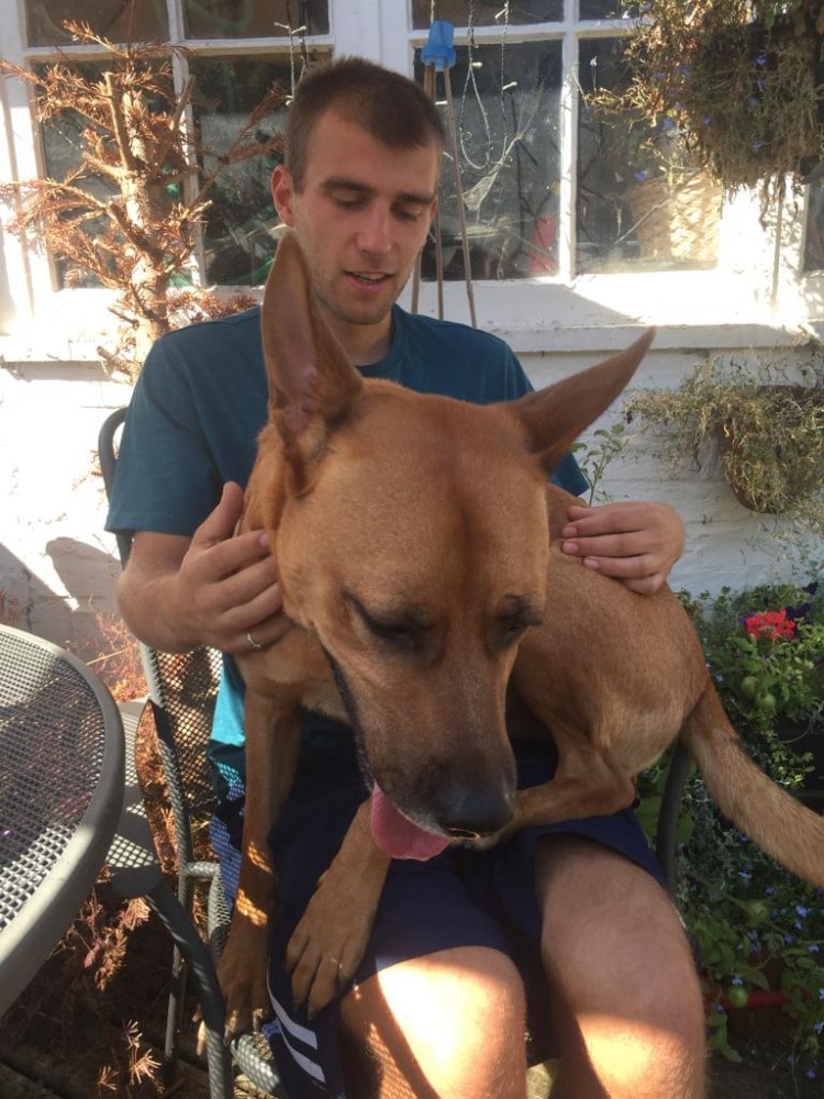 image-6