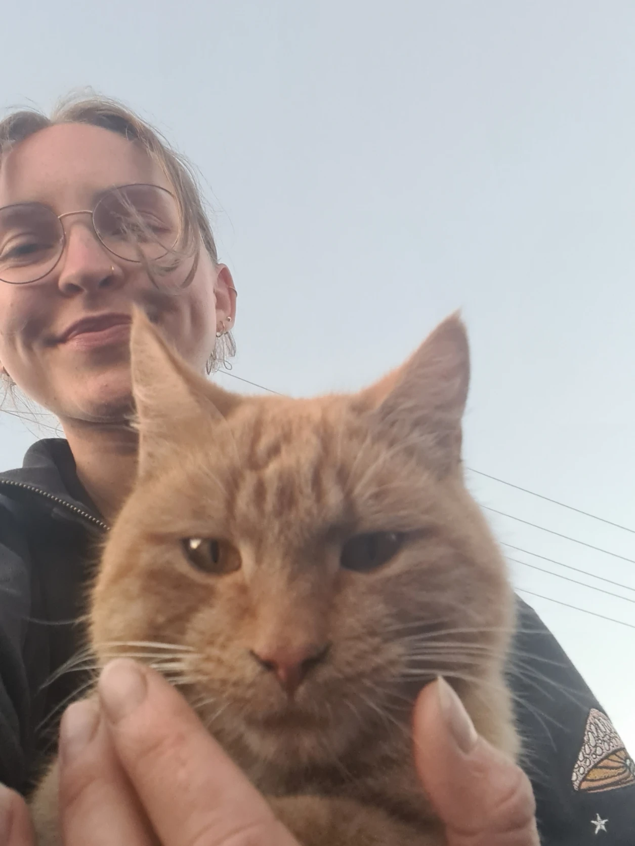 image-6