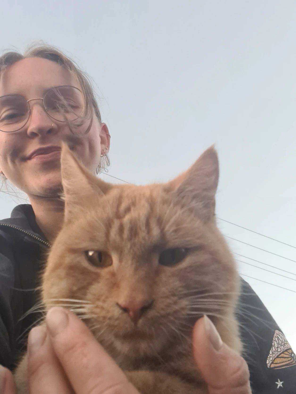 image-6