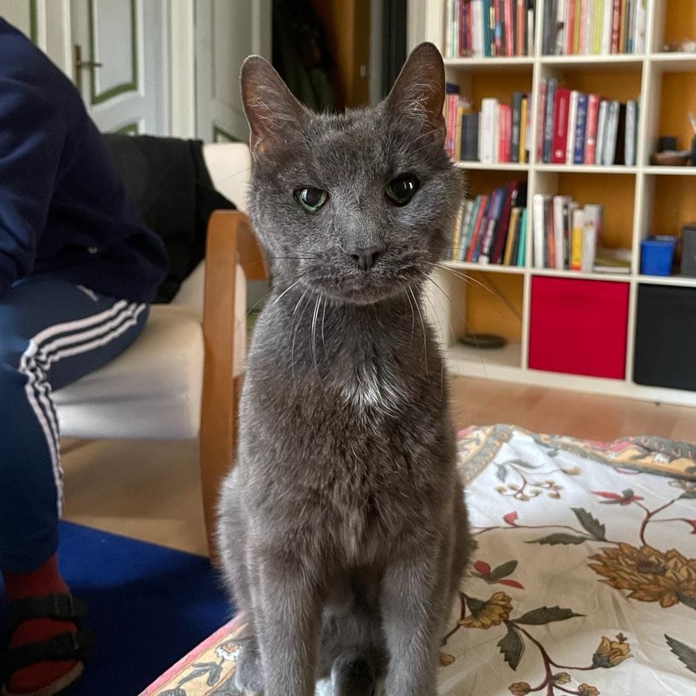 Marcel