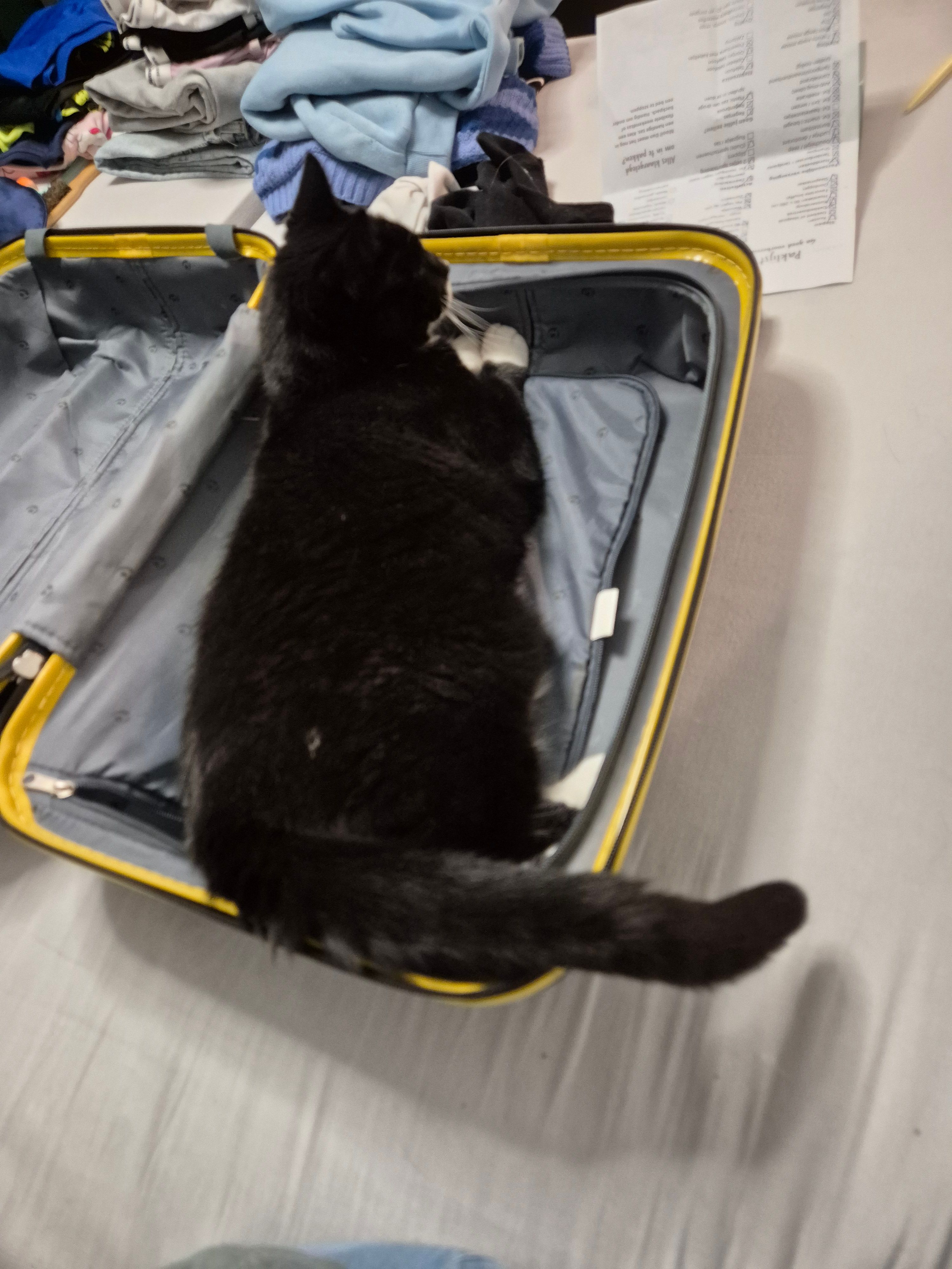 image-9