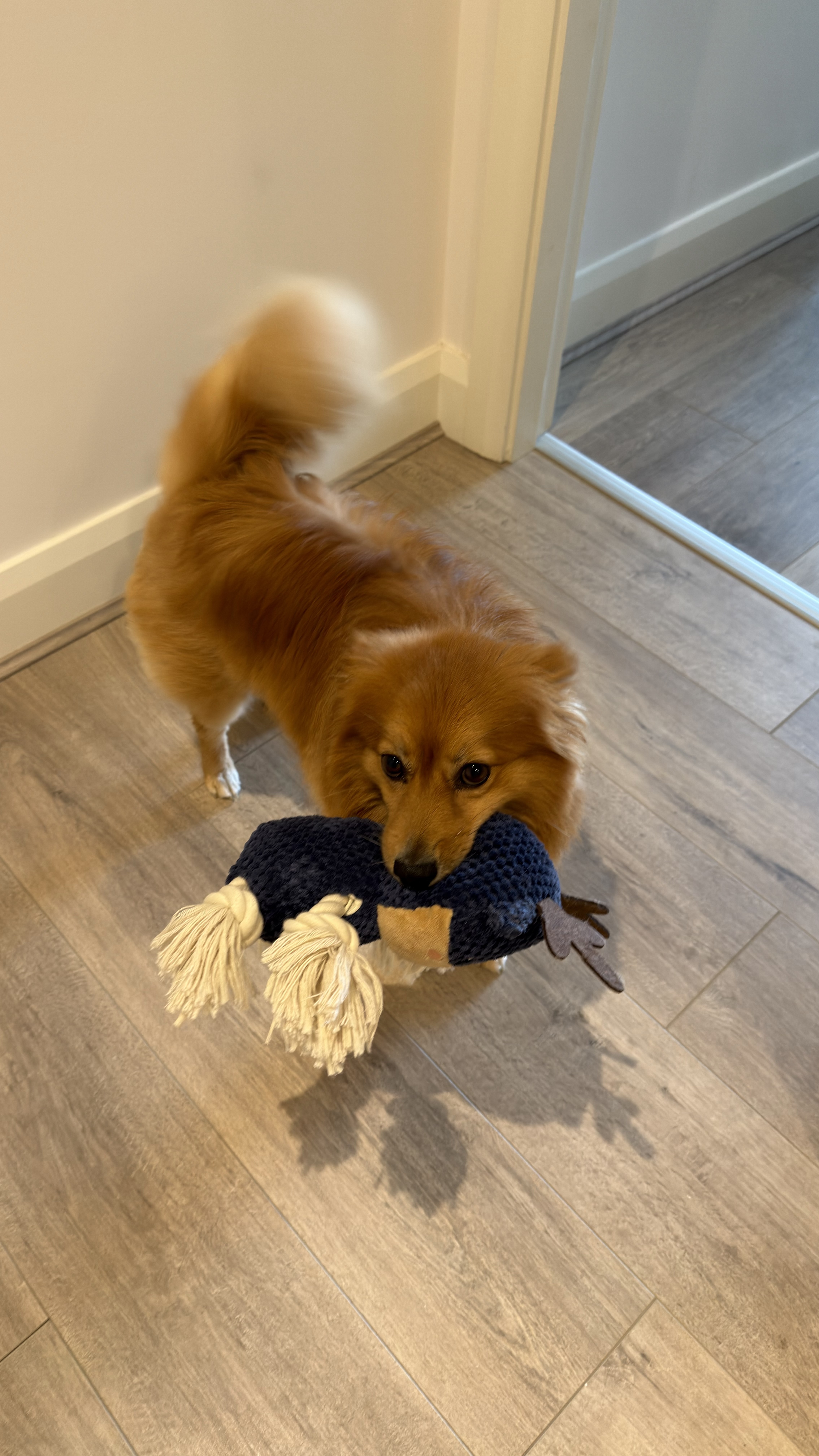 image-20
