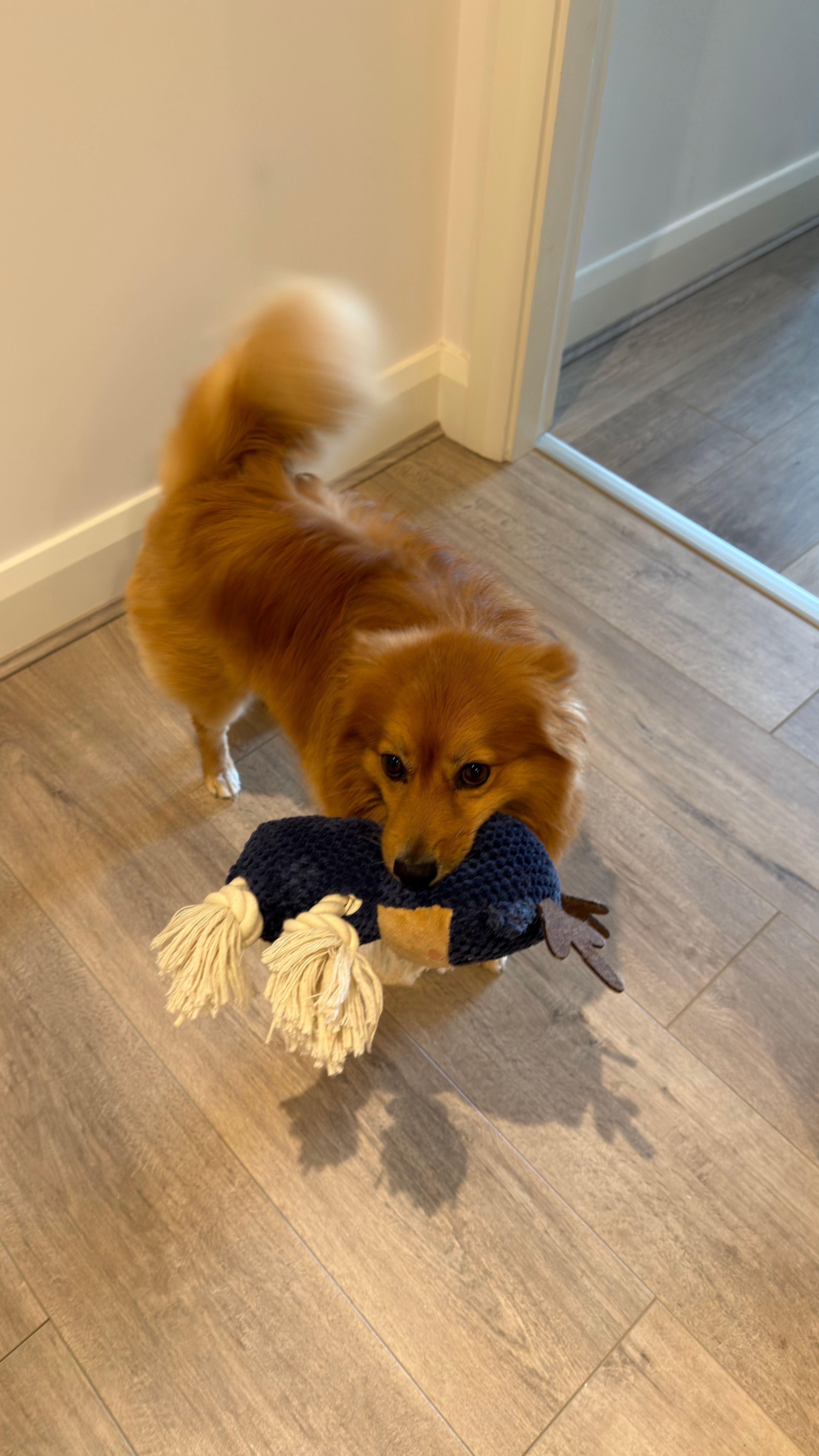 image-20