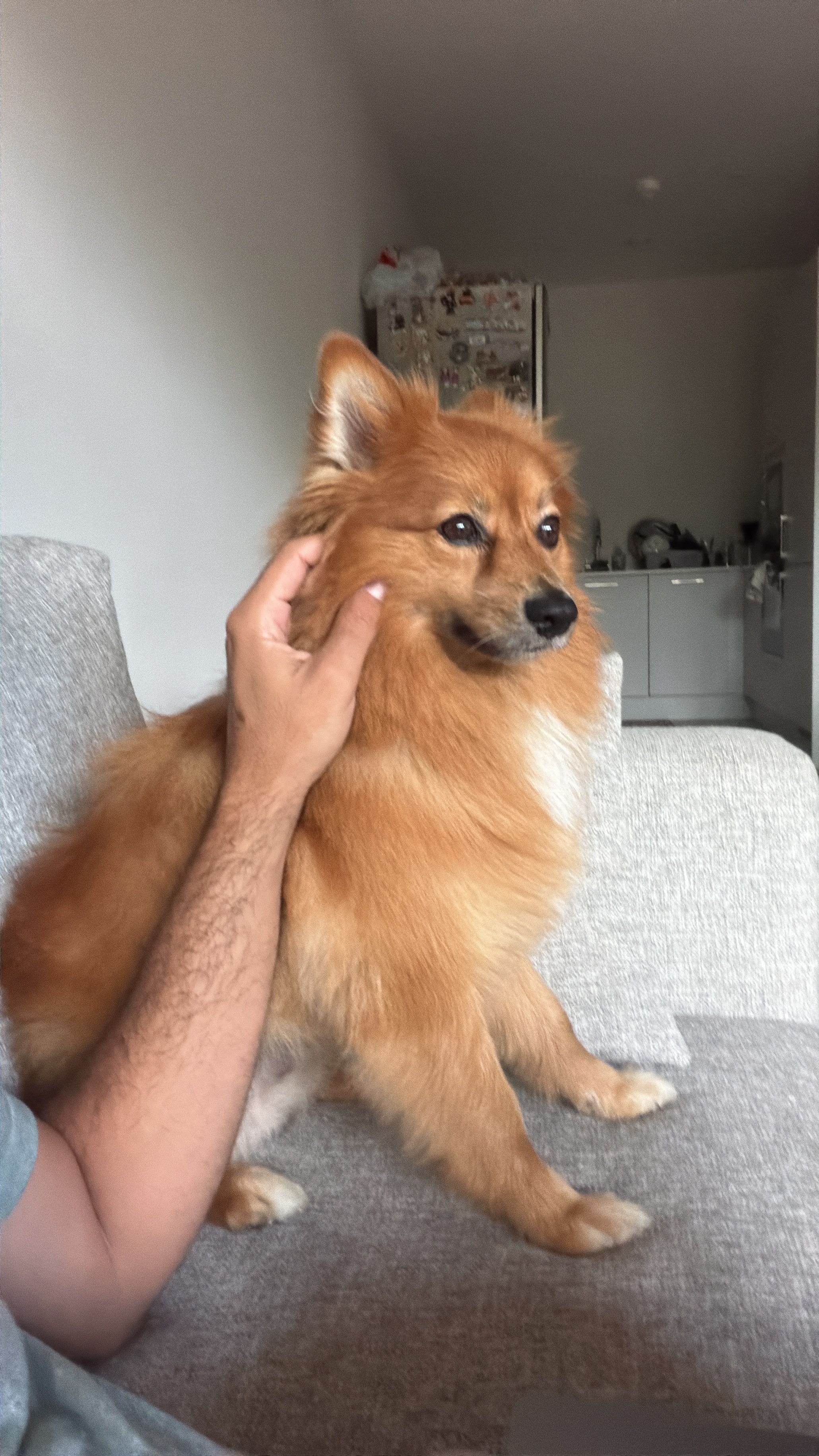 image-16