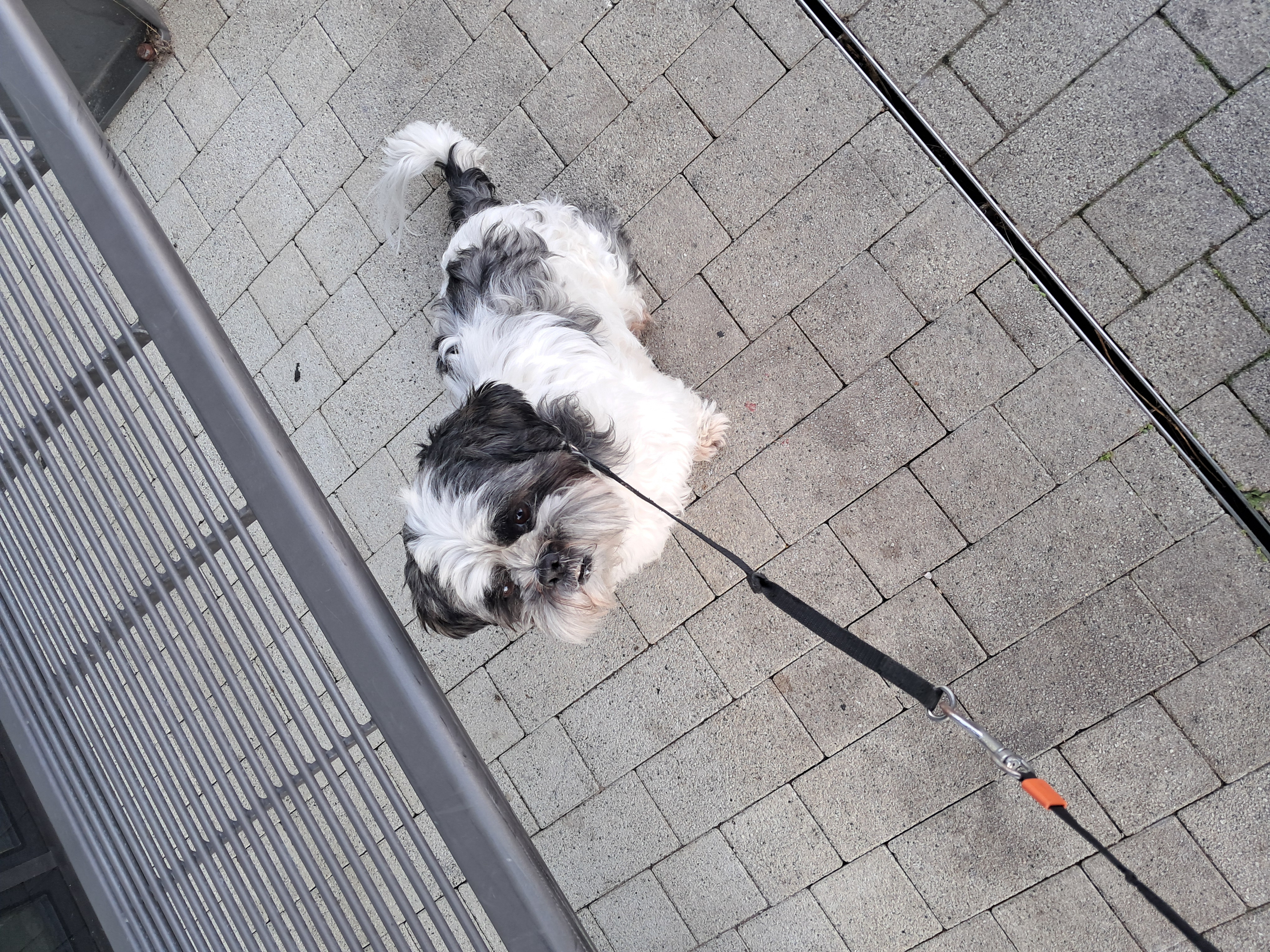 image-3