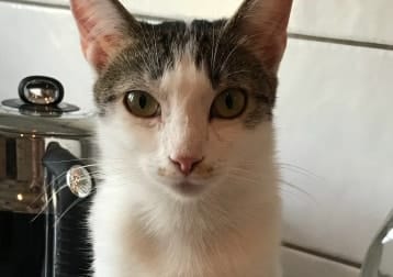 Sophie