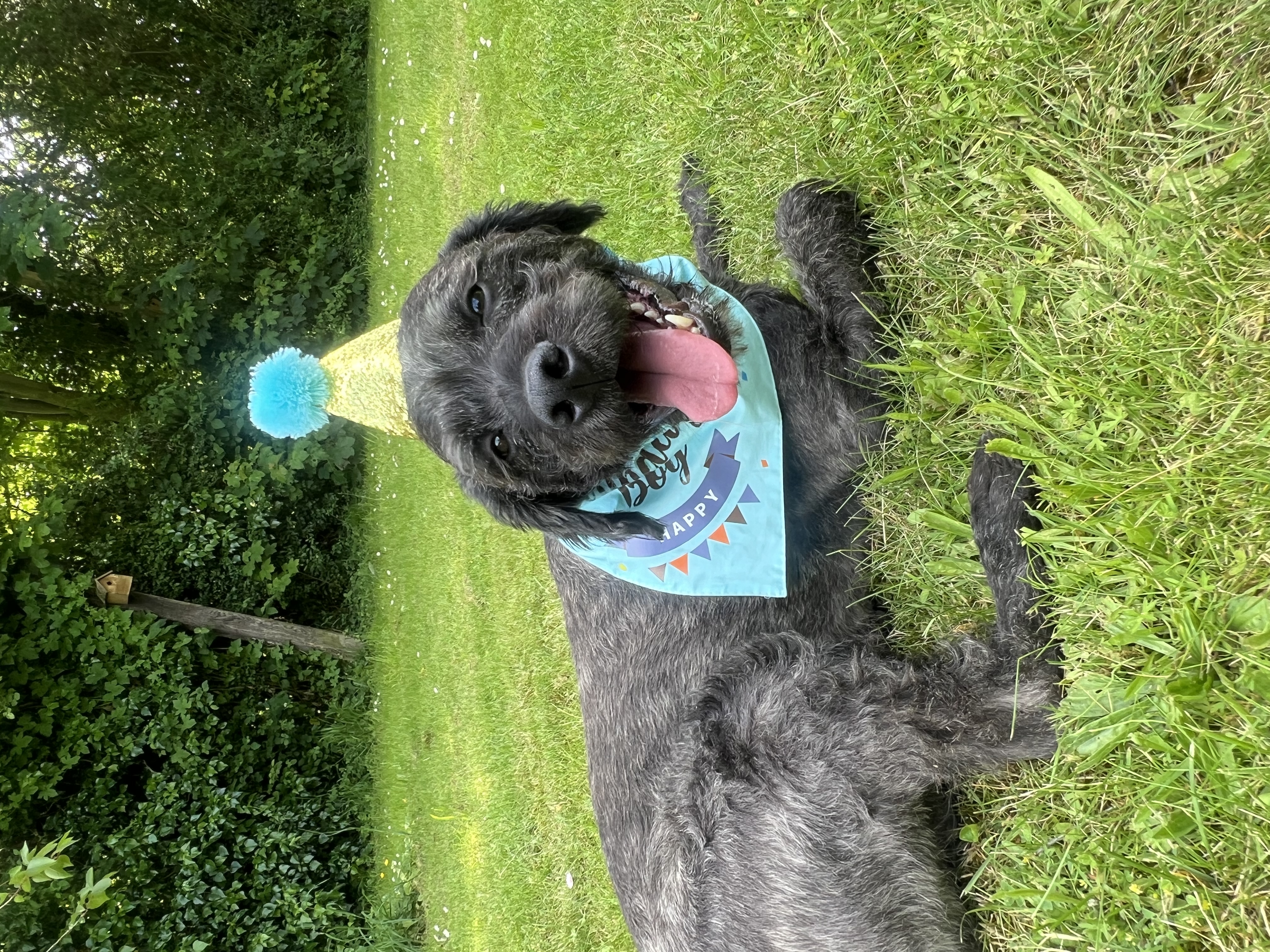 image-6