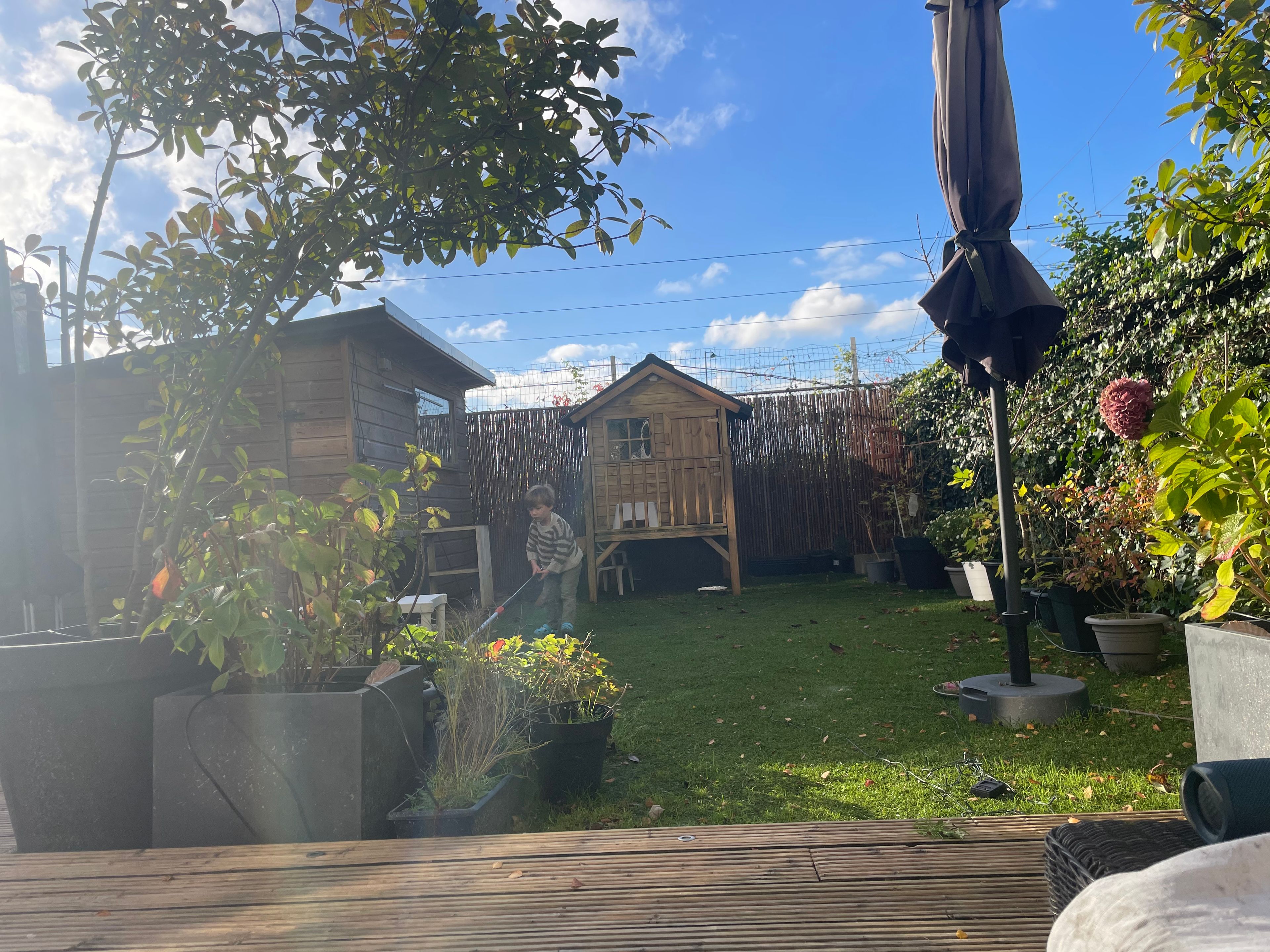 image-14