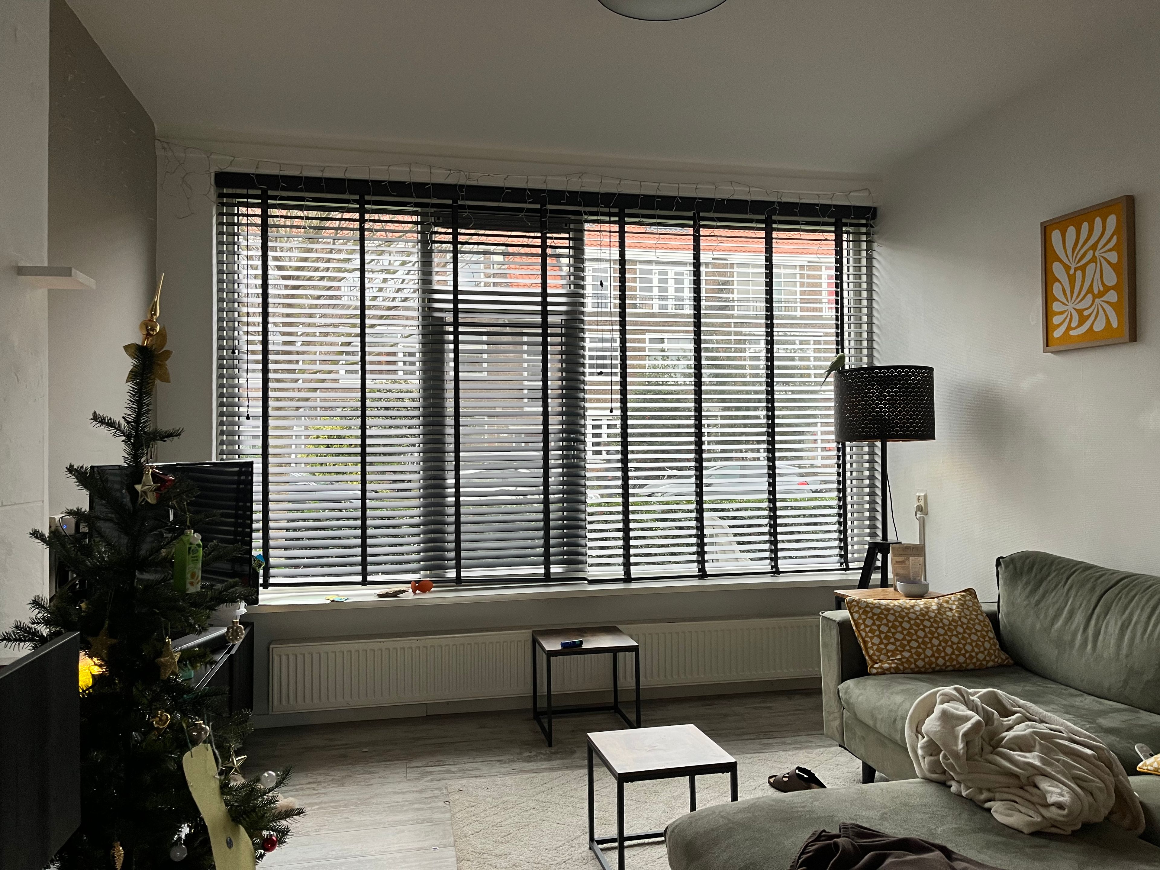 image-15