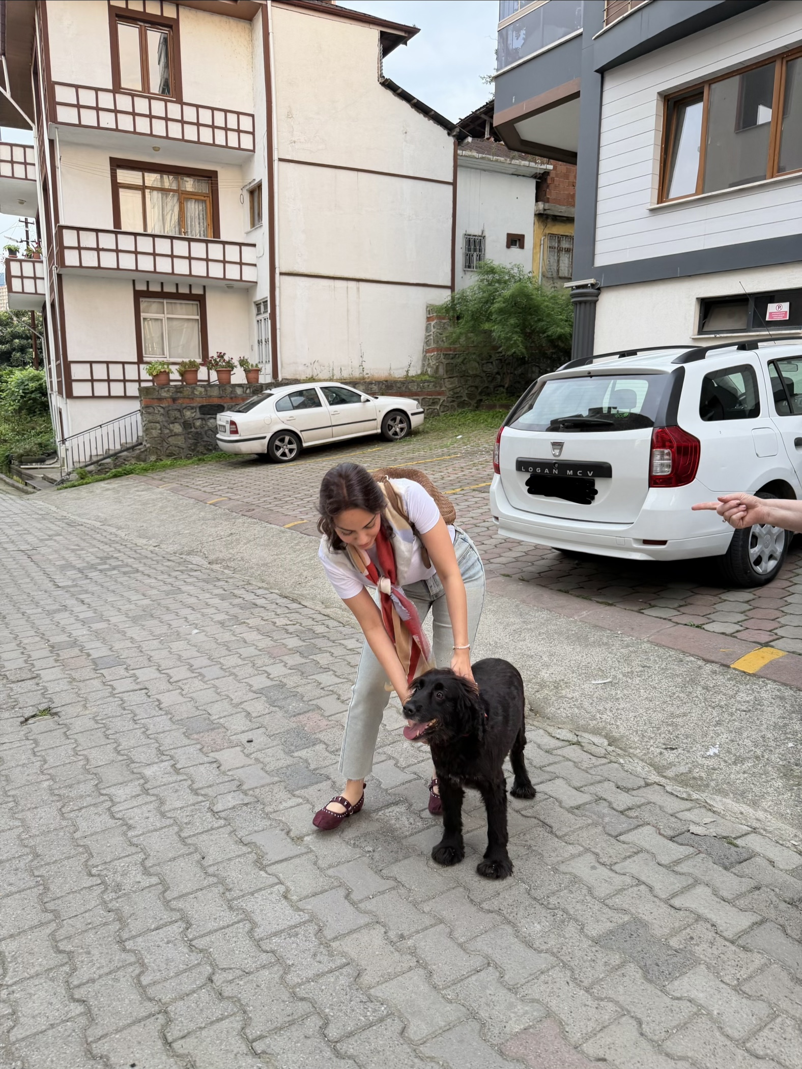 image-14