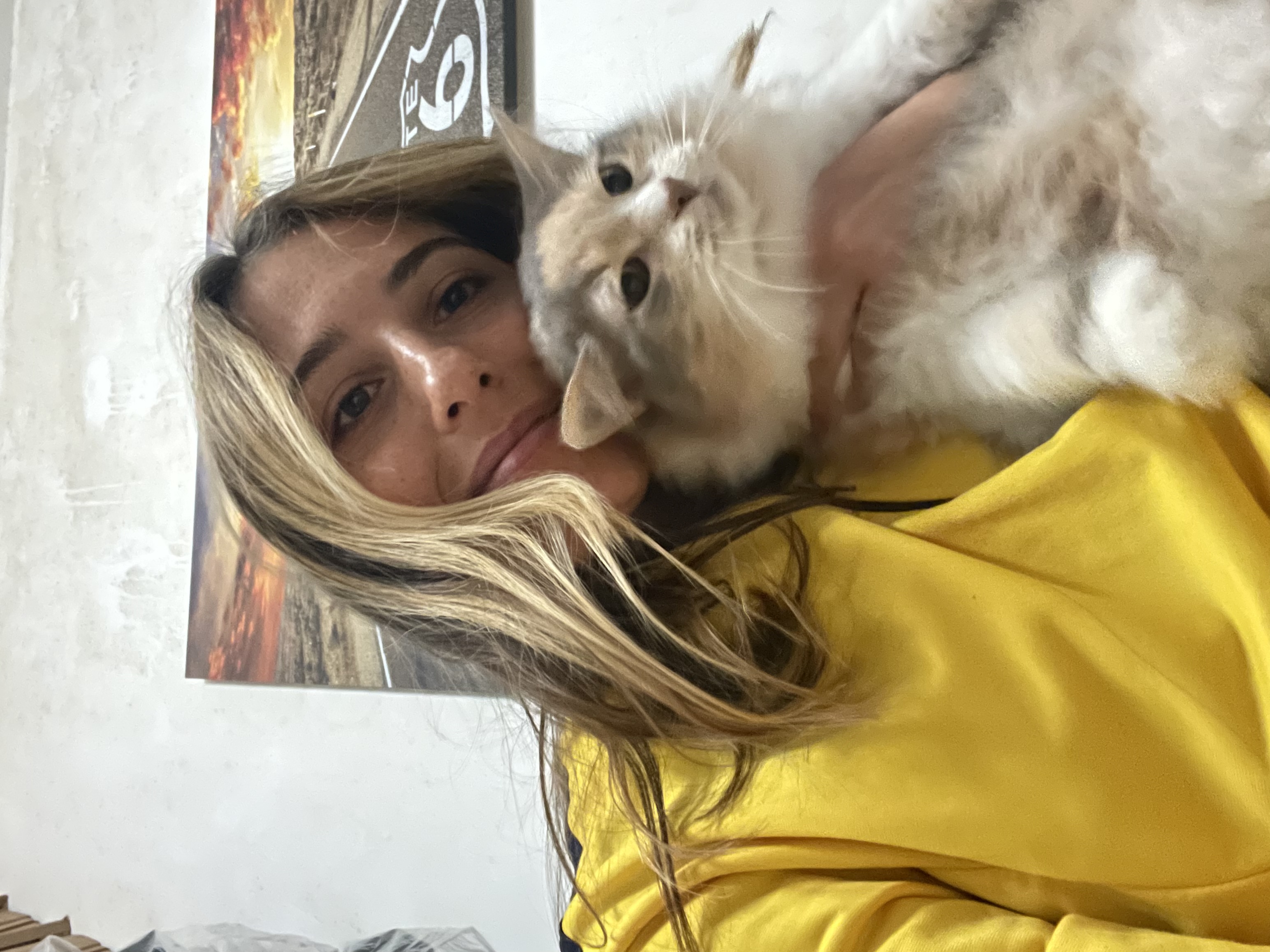 image-6