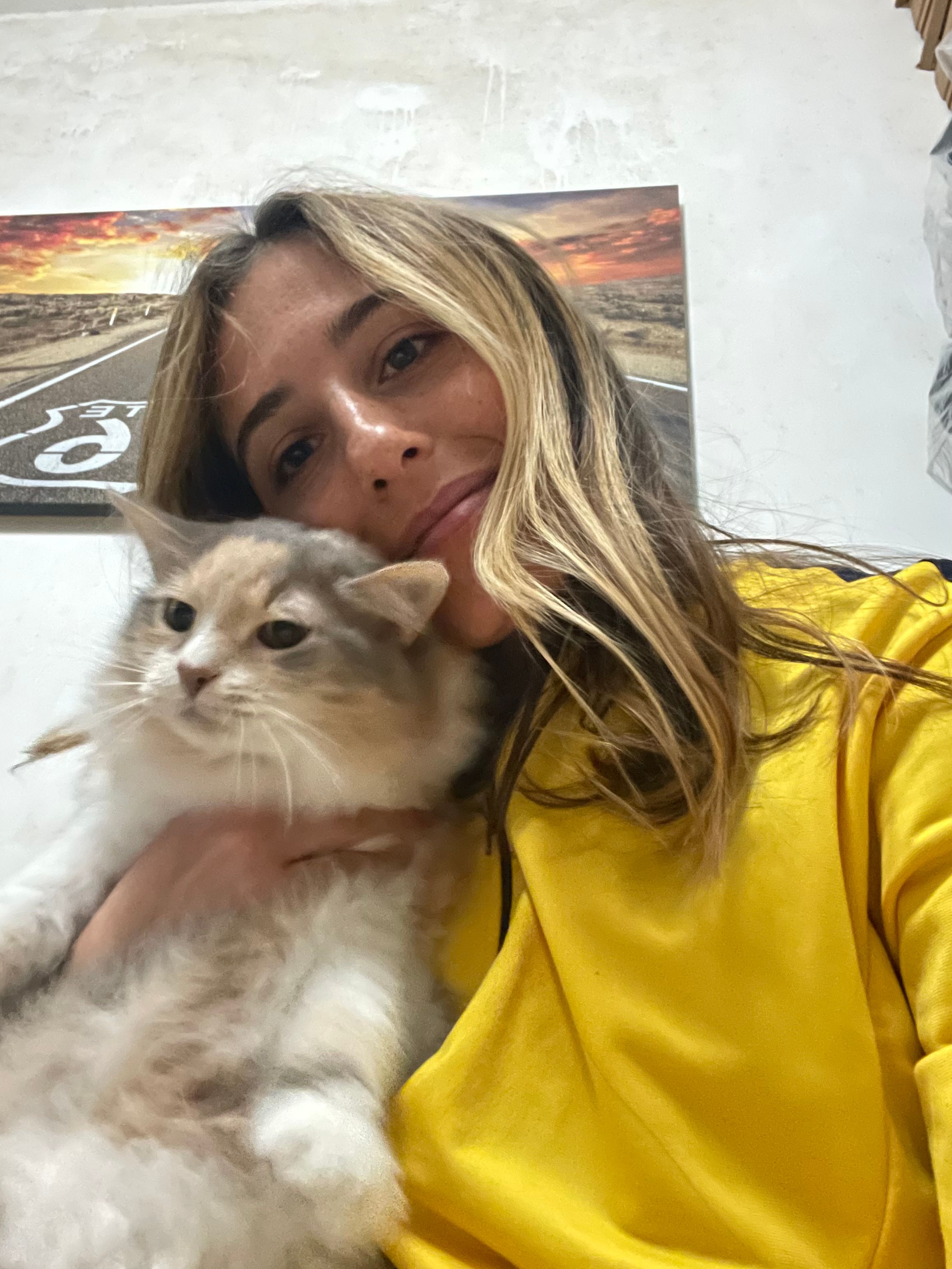 image-6