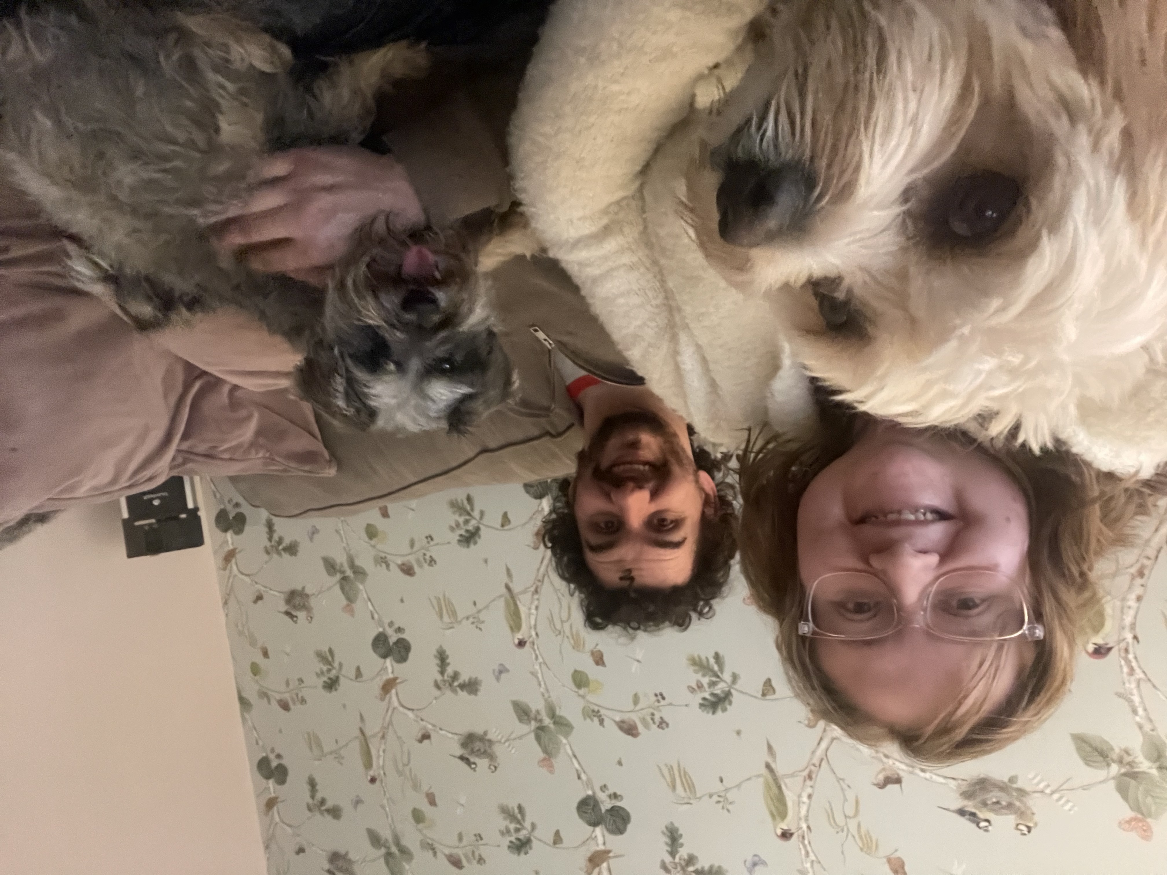 image-5