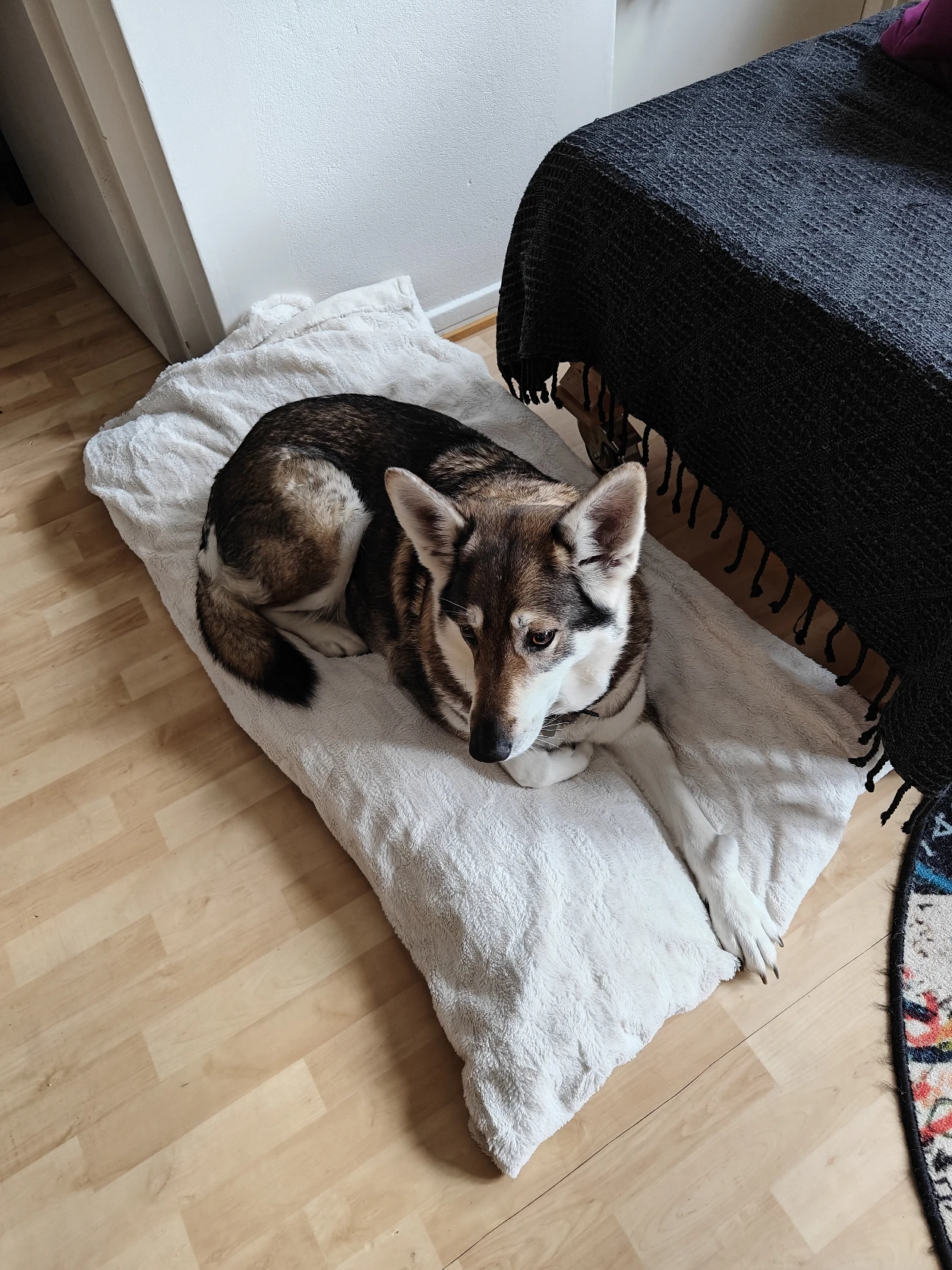 image-12