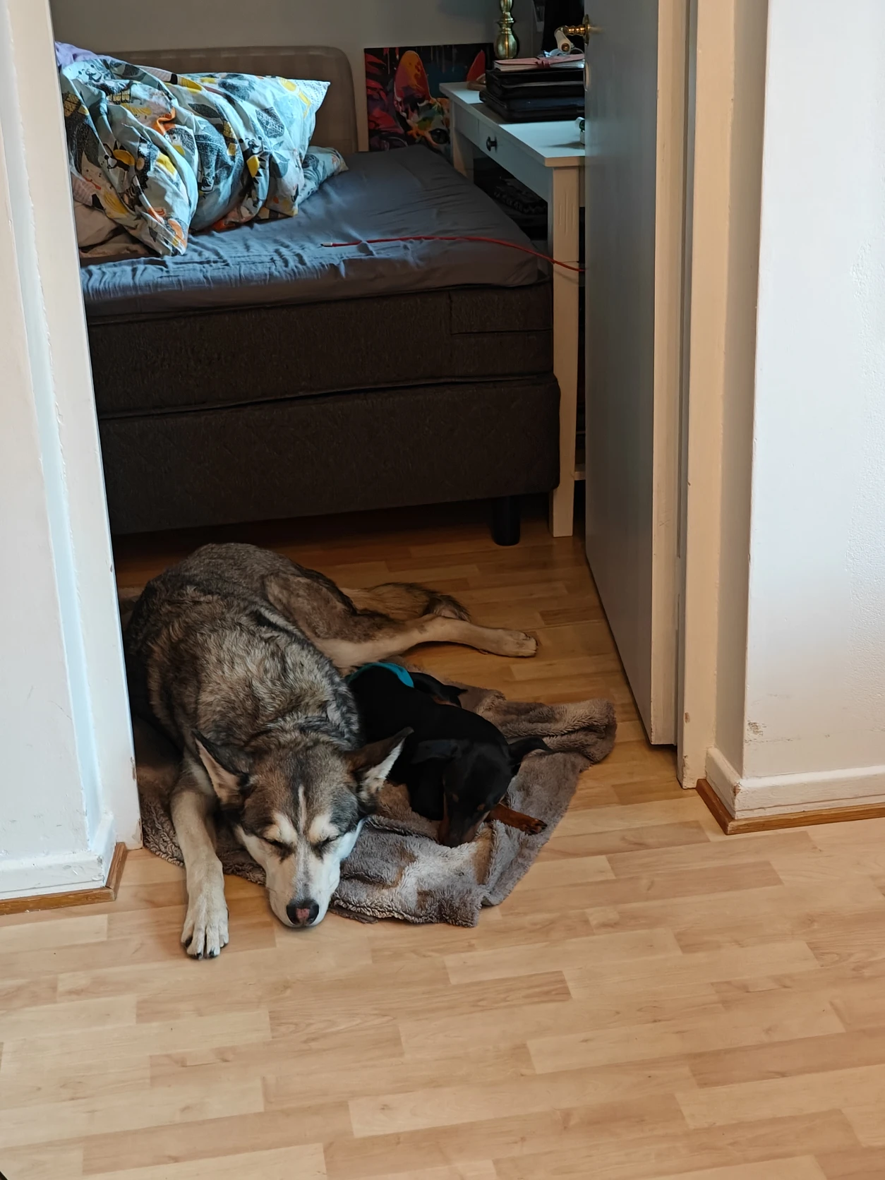 image-24