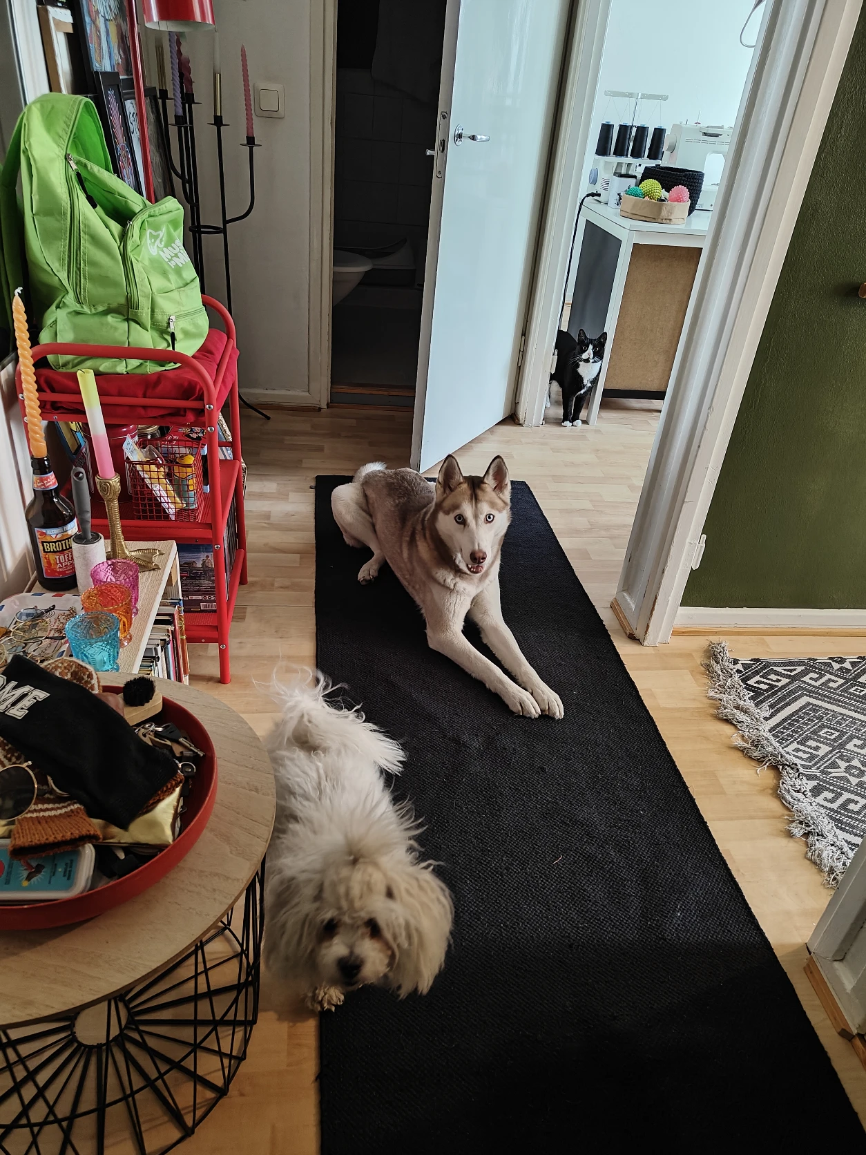 image-25