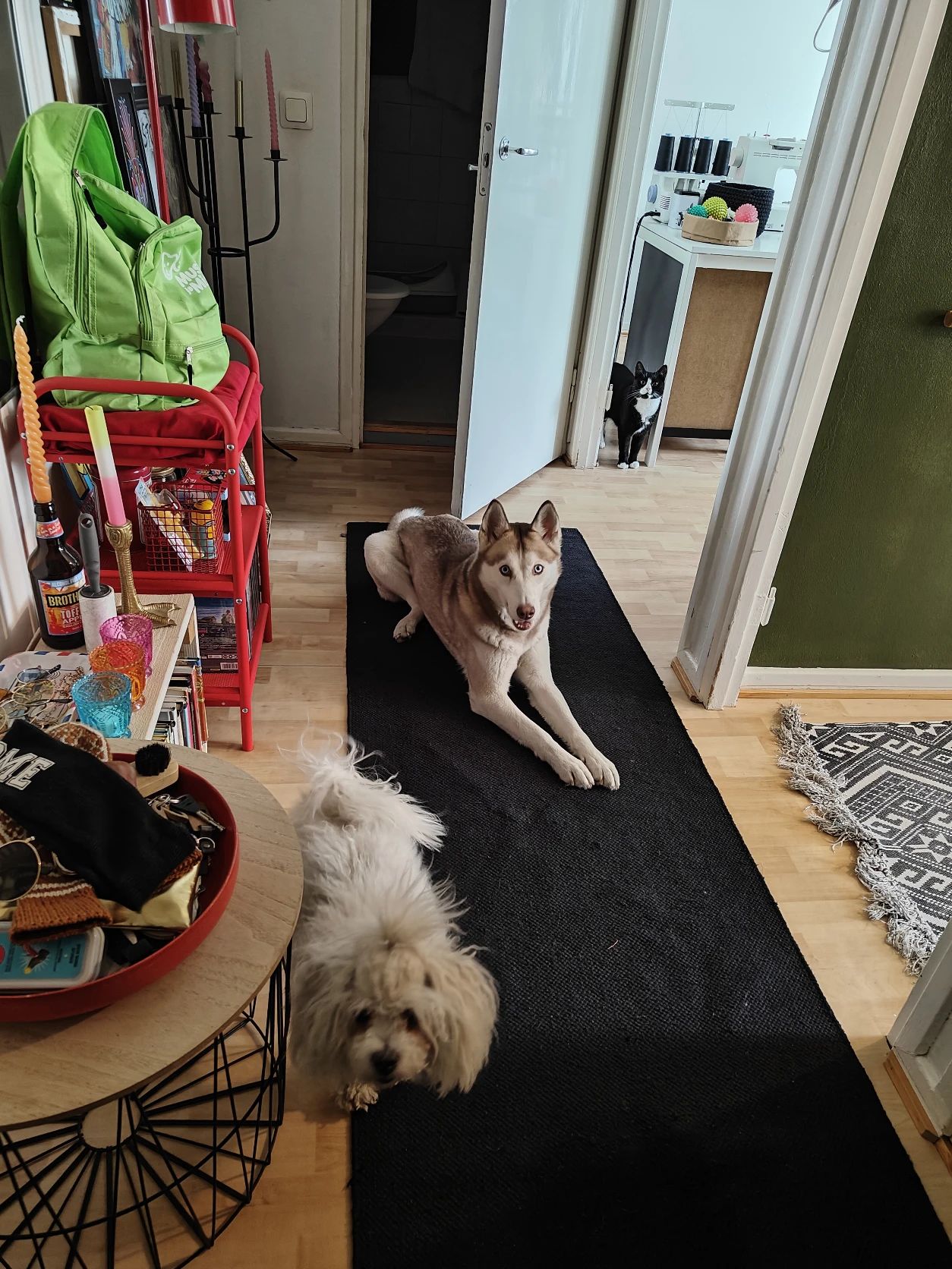image-25