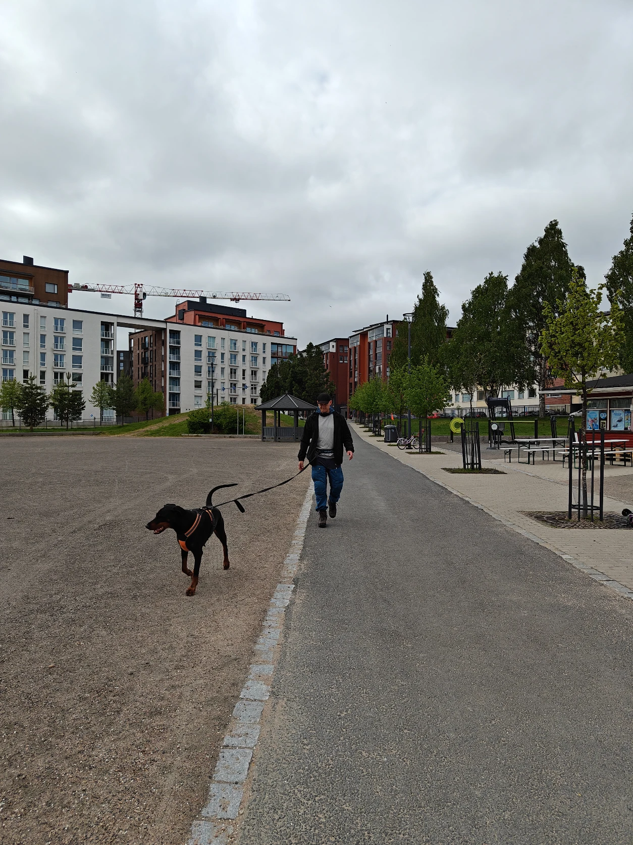 image-21