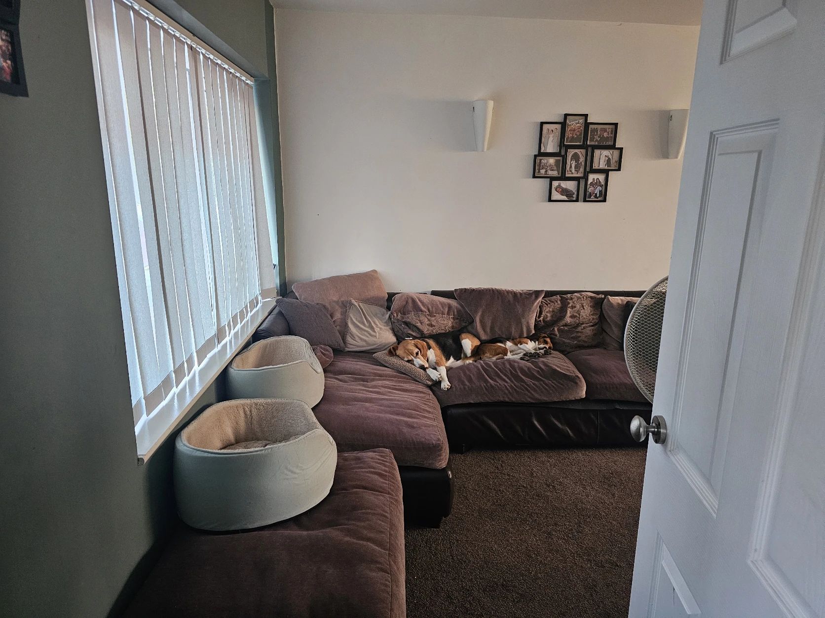 image-14