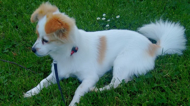 image-6