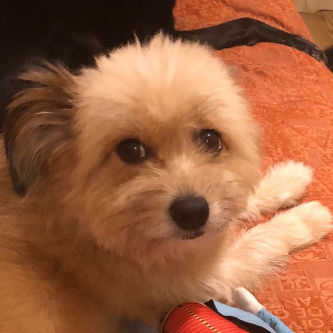 Bella