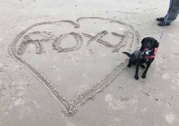 Roxy