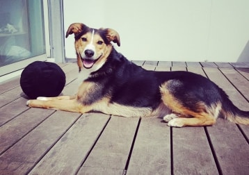Jack