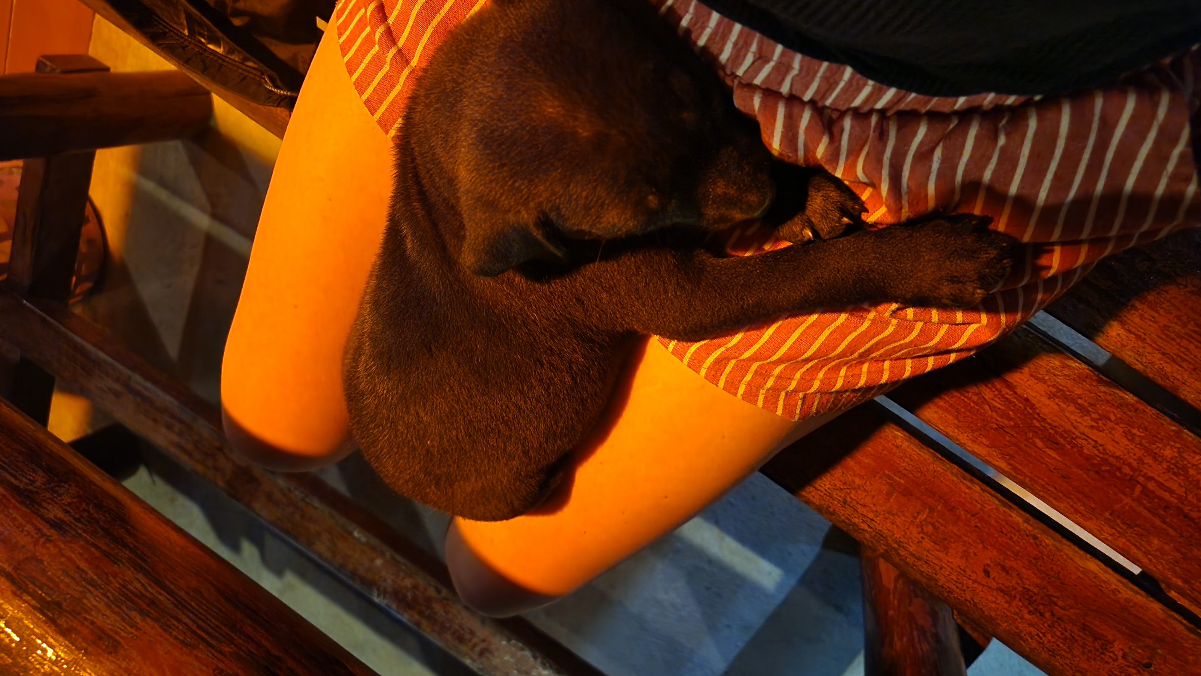 image-7
