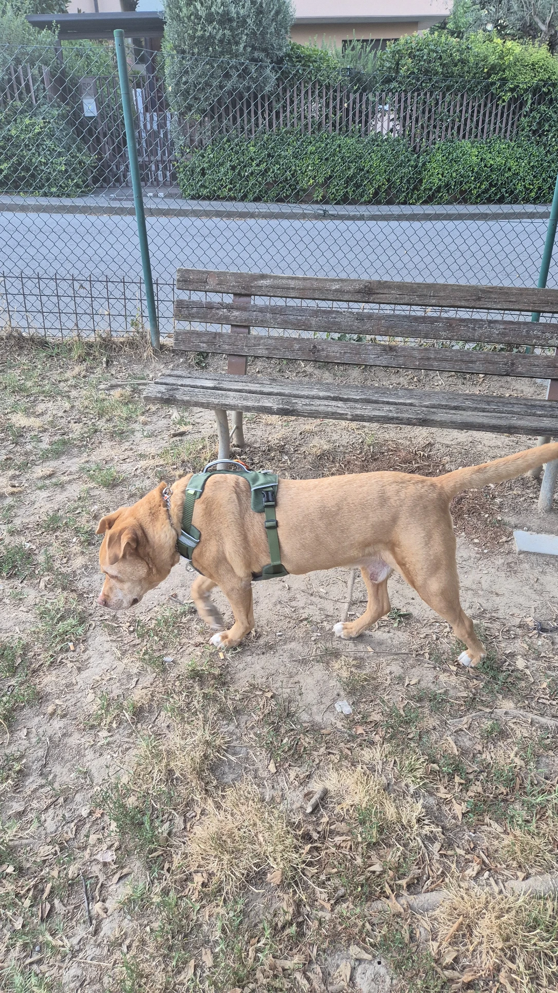 image-11