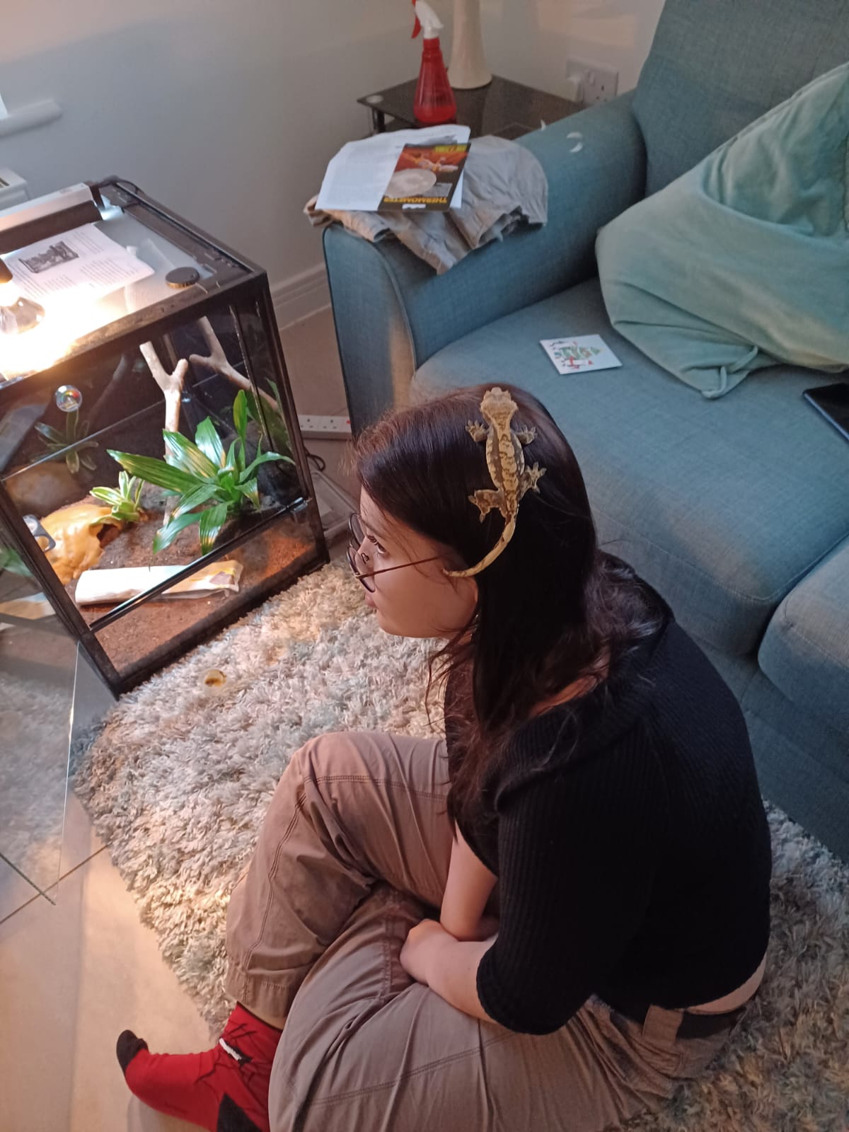image-3