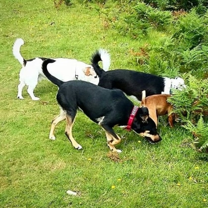 image-5