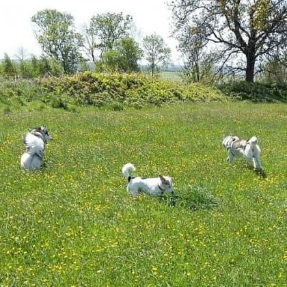 image-1