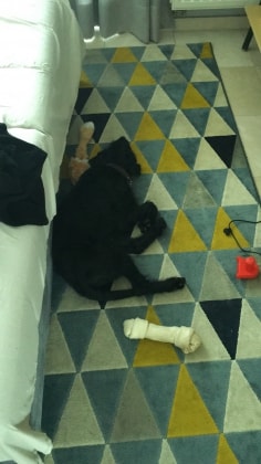 image-7