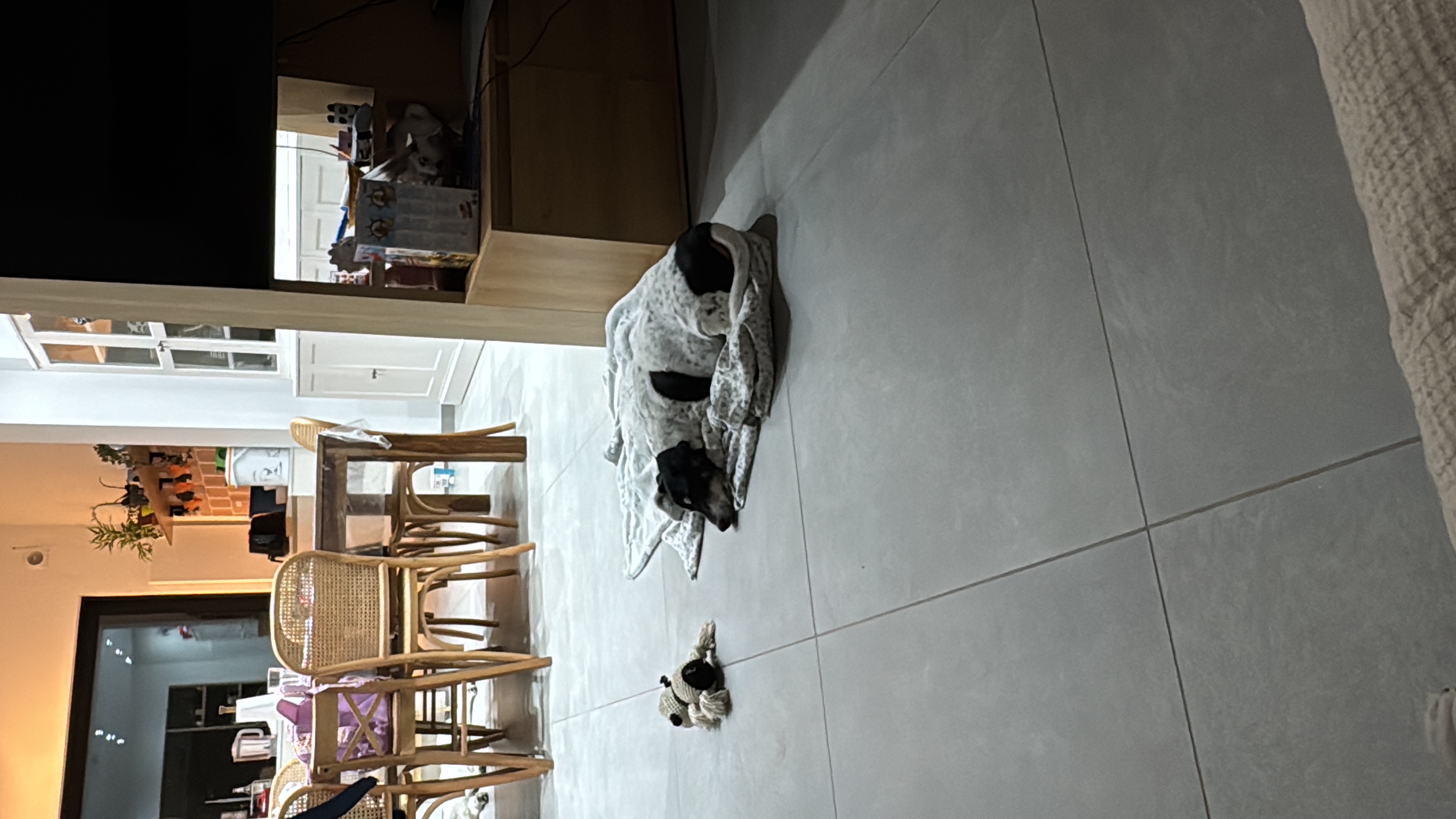image-36