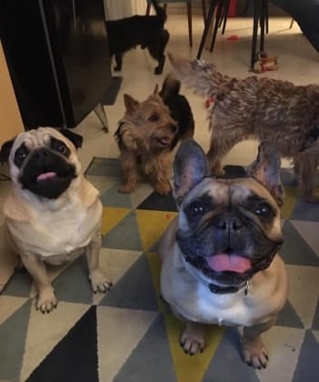 image-27