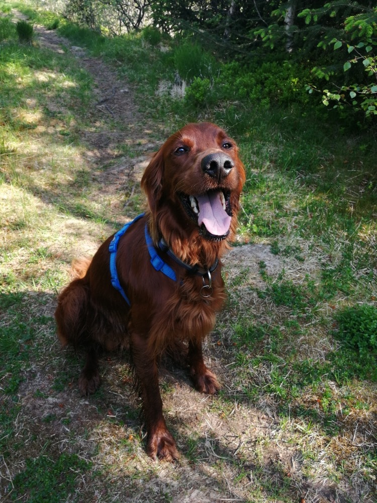 image-9