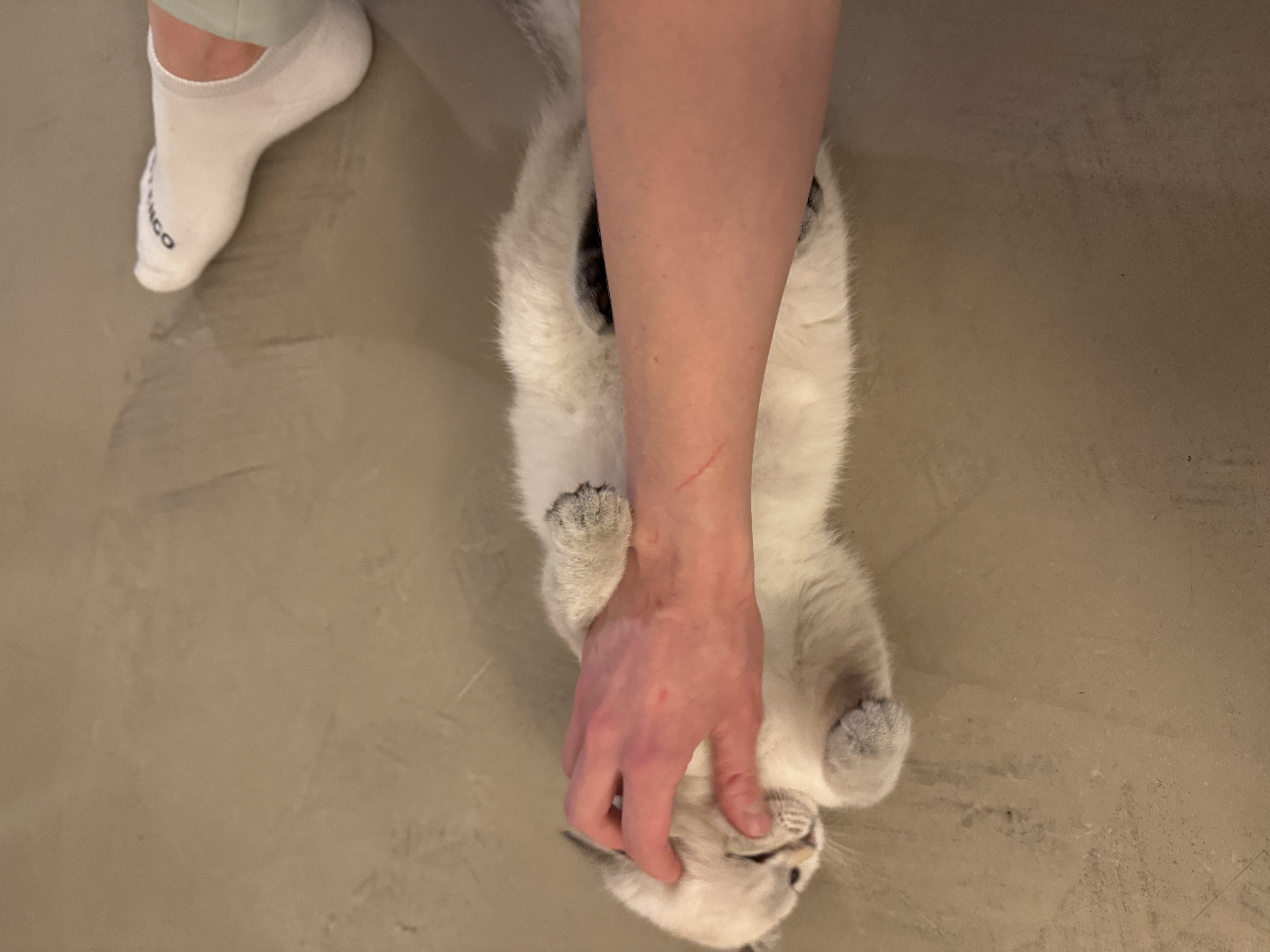 image-11