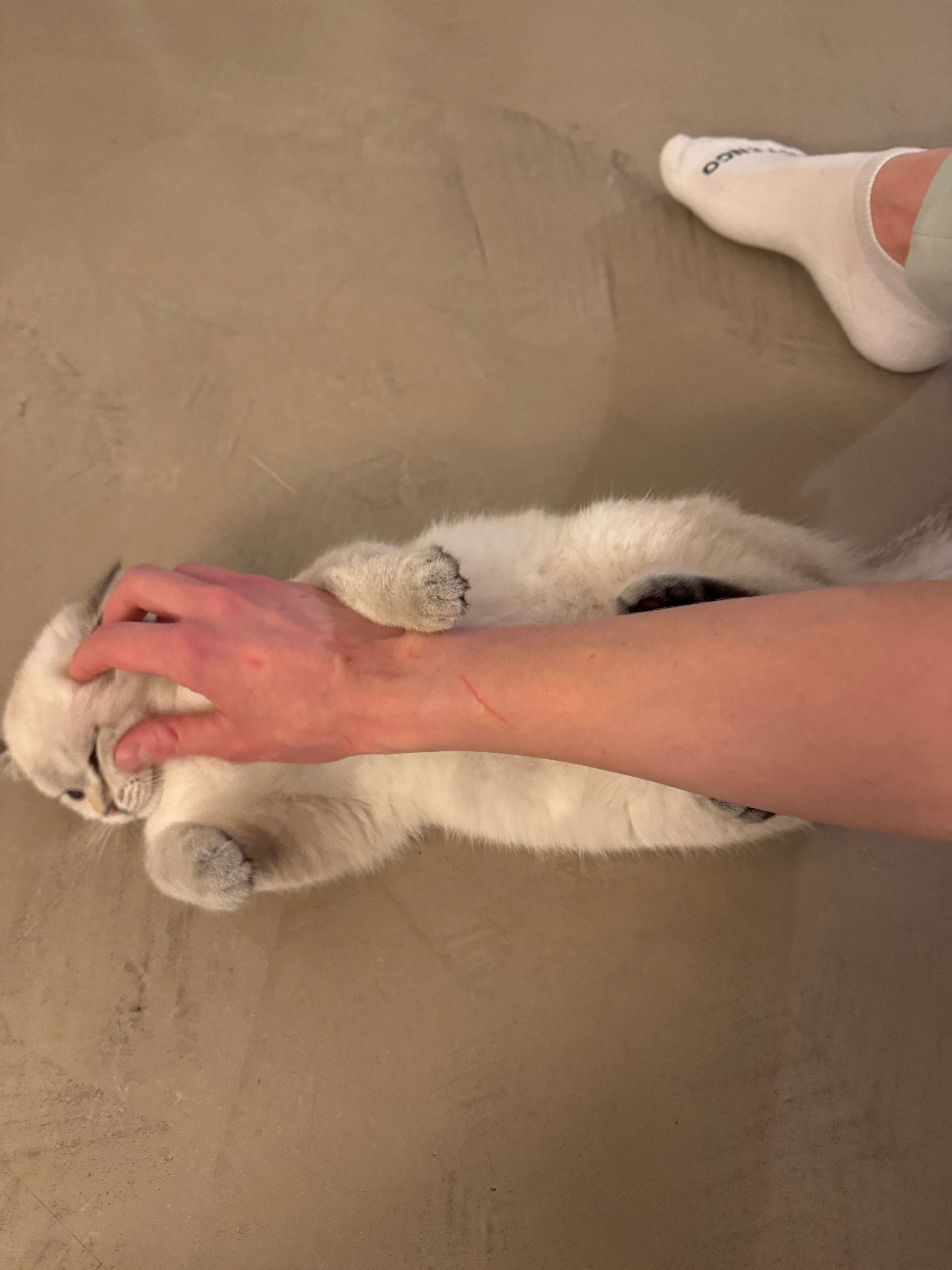 image-11