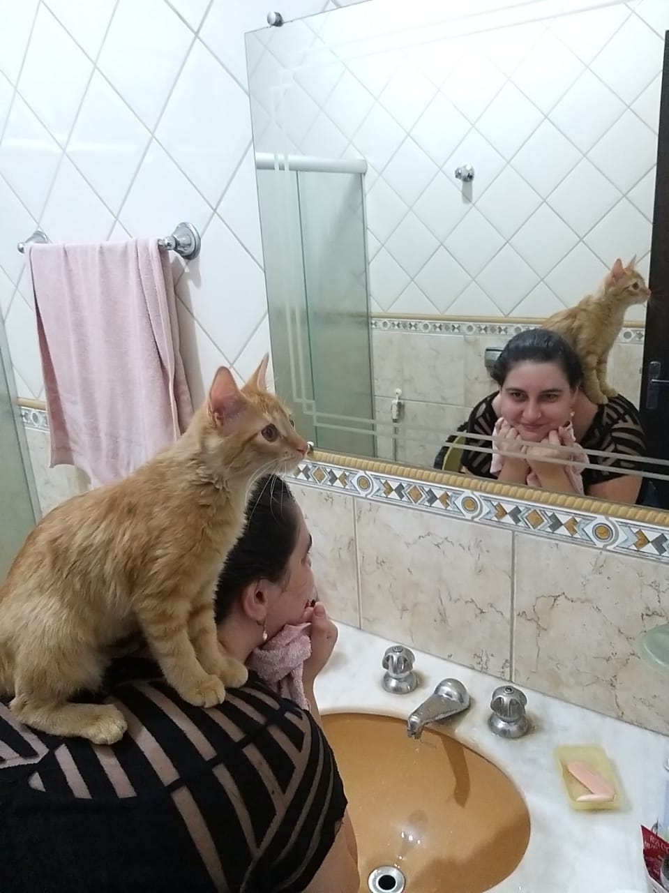 image-6