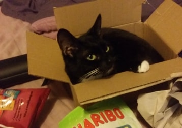 Lulu