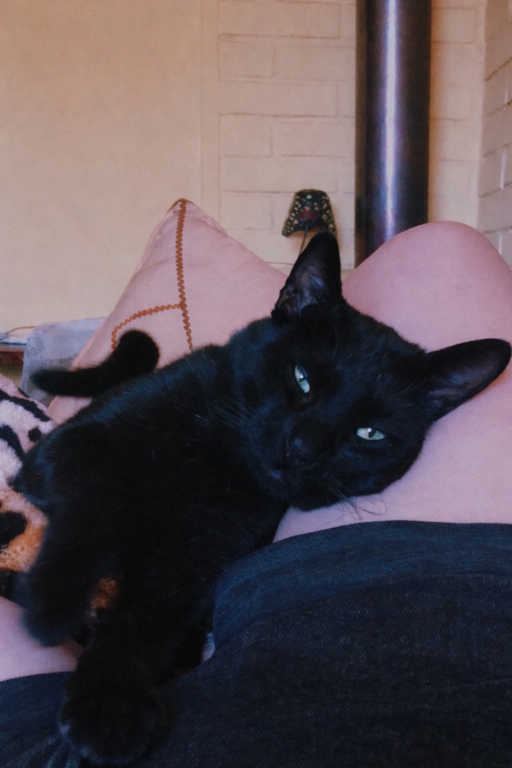 image-8