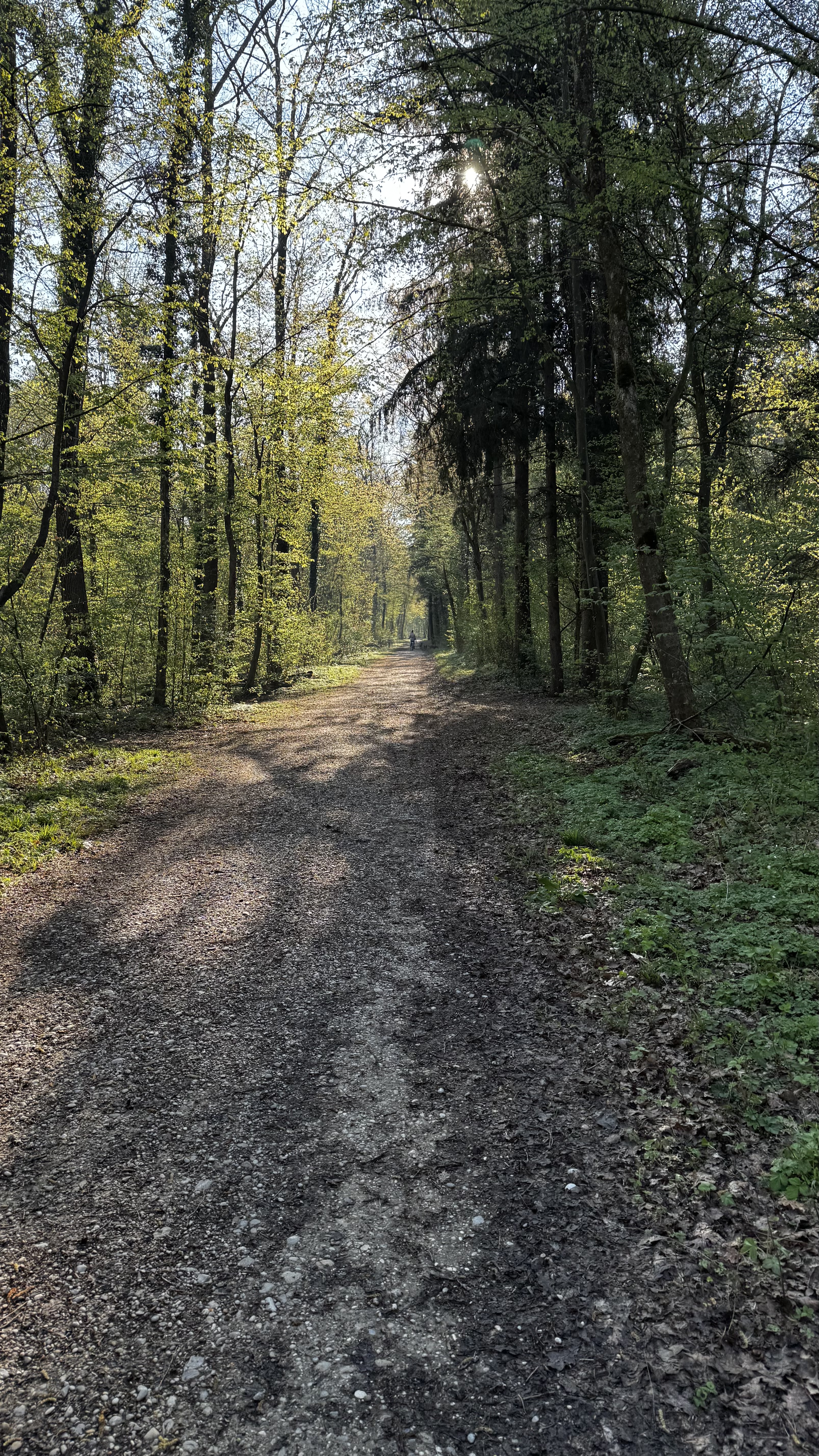image-18