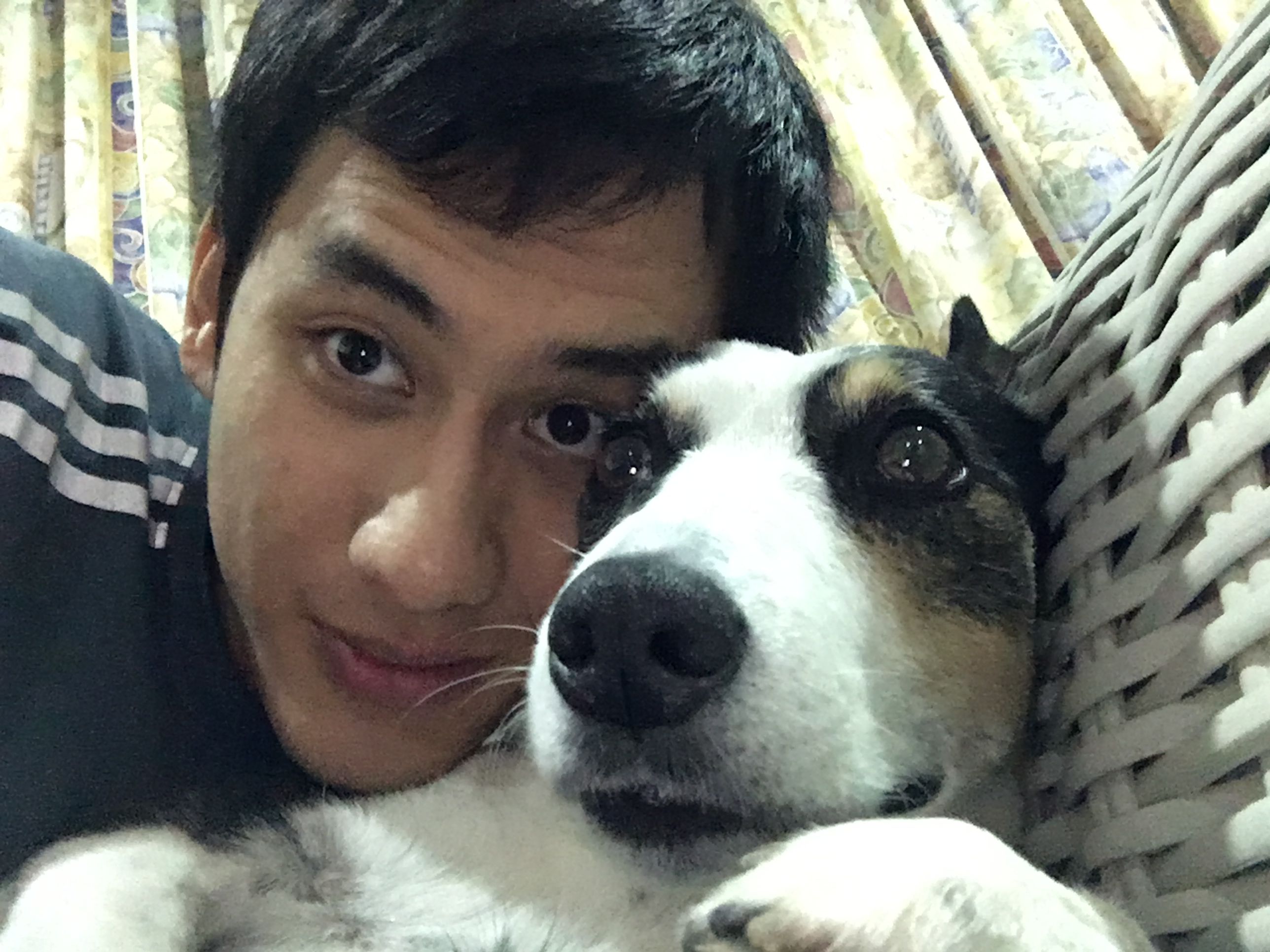 image-25